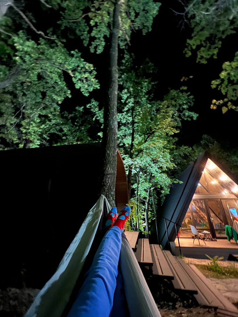 Фото В Лес Афрейм