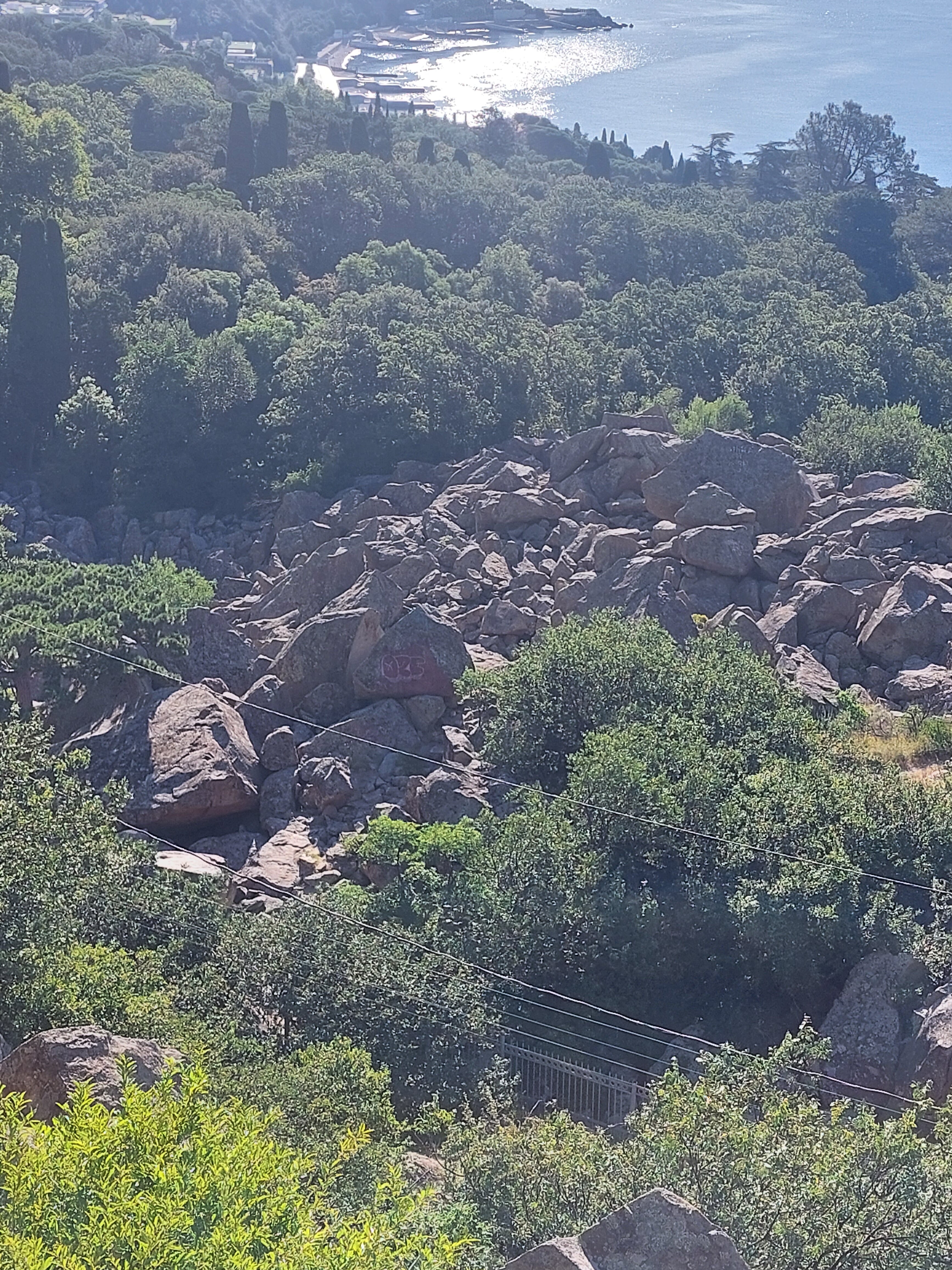 Фото Алубика