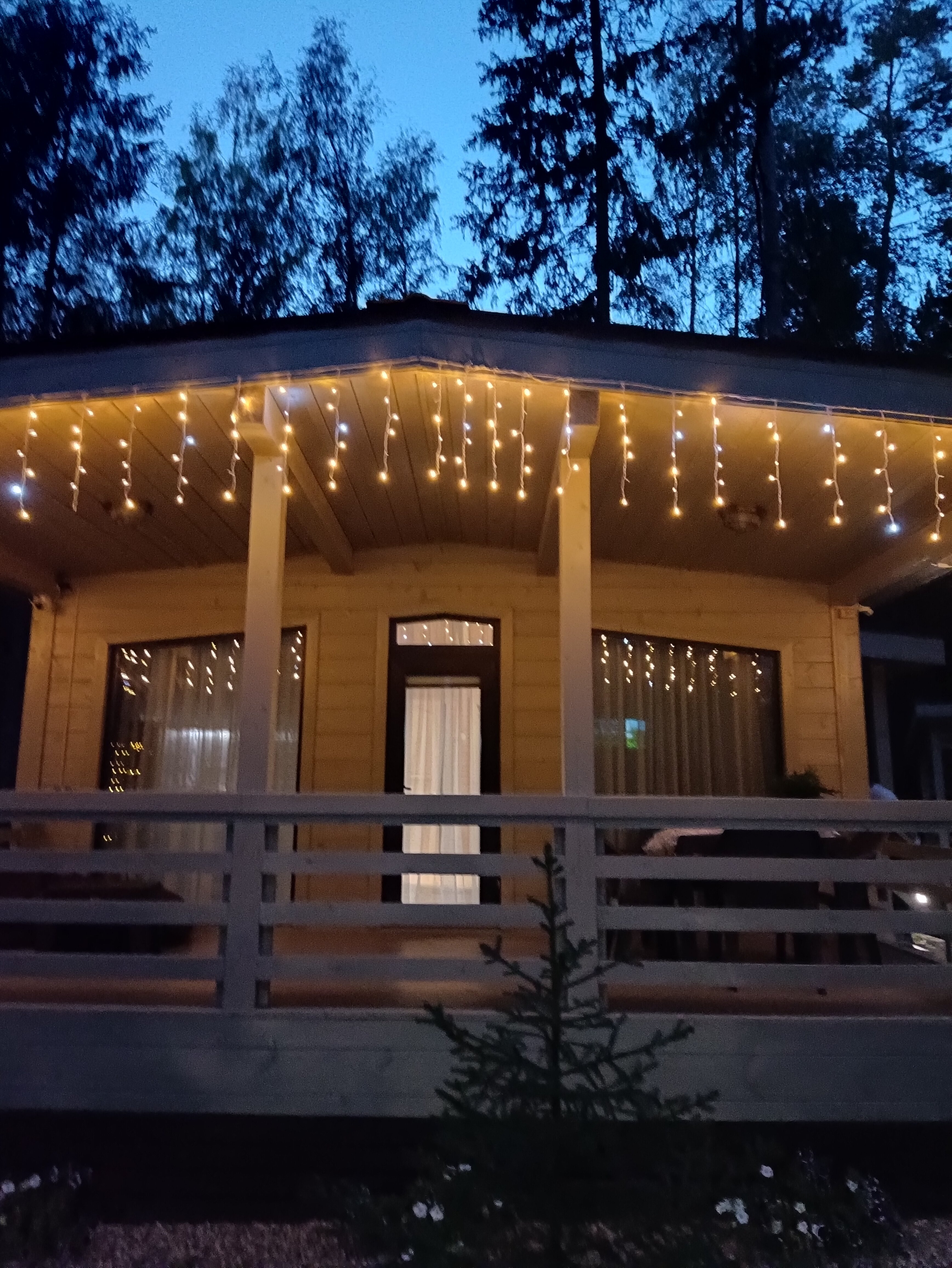 Фото Коттеджи в сосновом бору