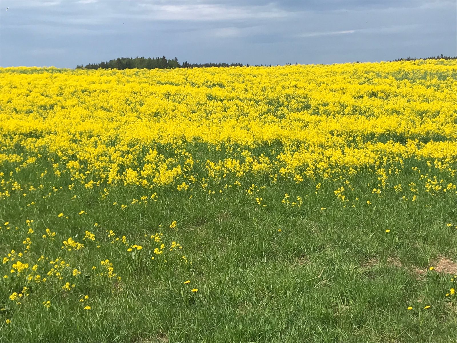 Фото На Венере у Игоры