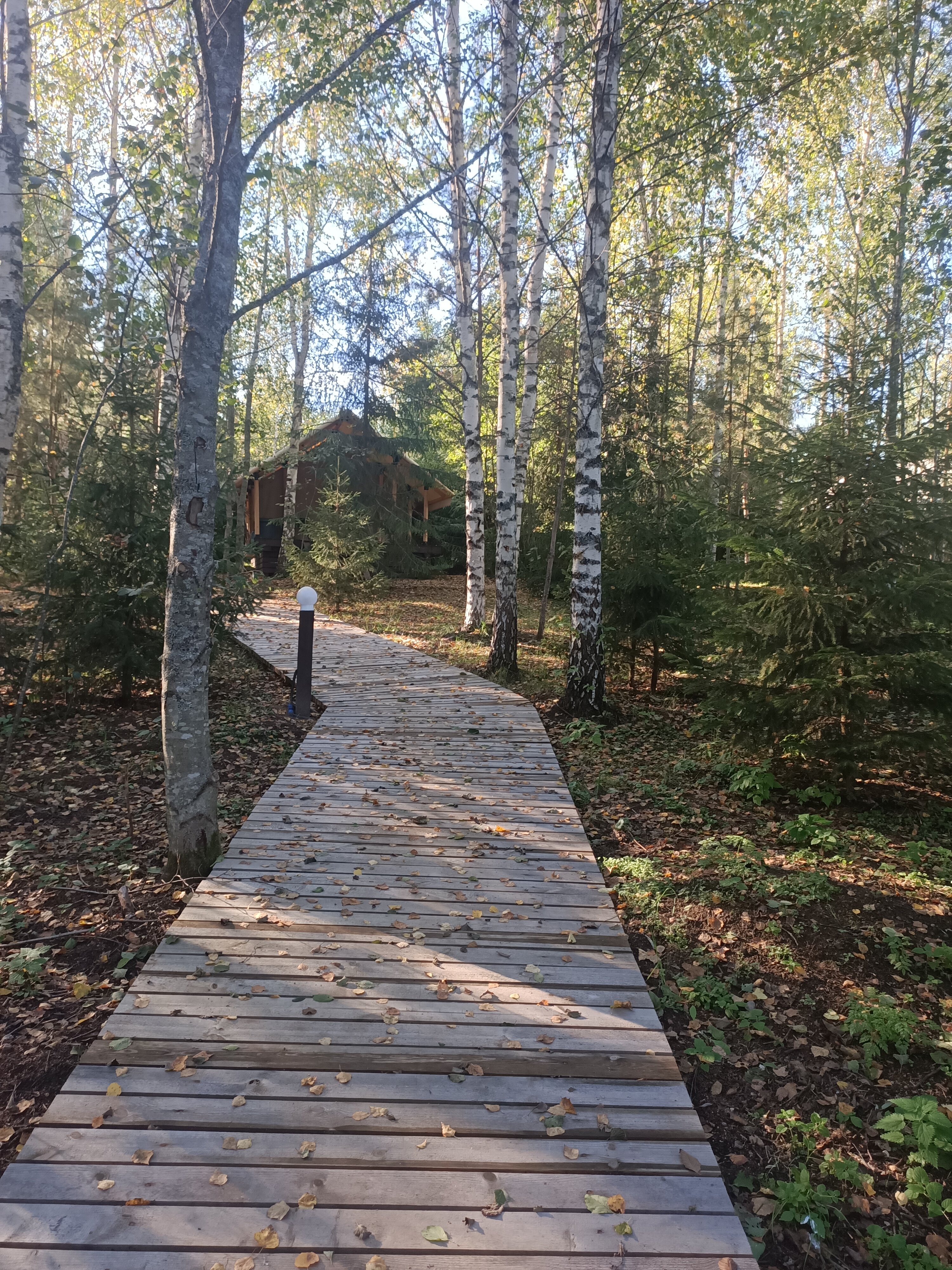 Фото Глэмпинг Видомлицы