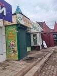 Флора и фауна (Kirova Street, 19Г), pet shop