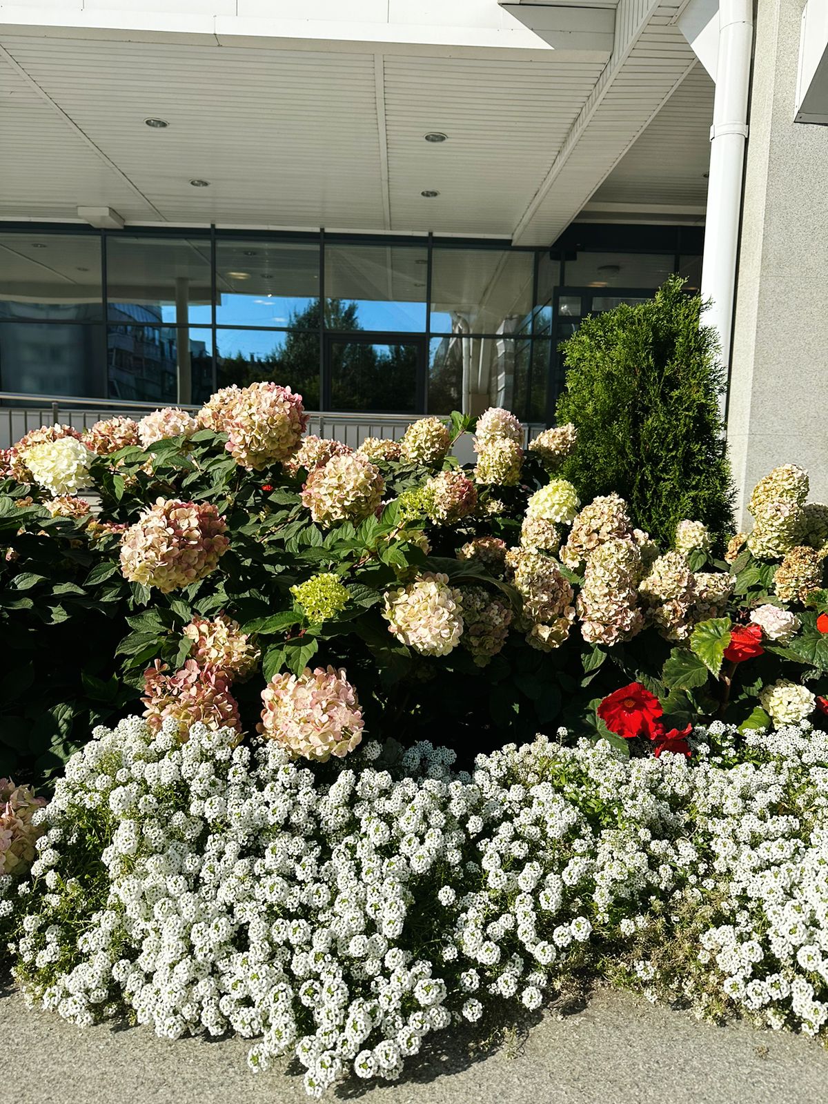 Фото Hilton Garden Inn Krasnoyarsk