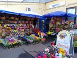 Цветы (Koptevskaya Street, 24с11) ، محل زهور