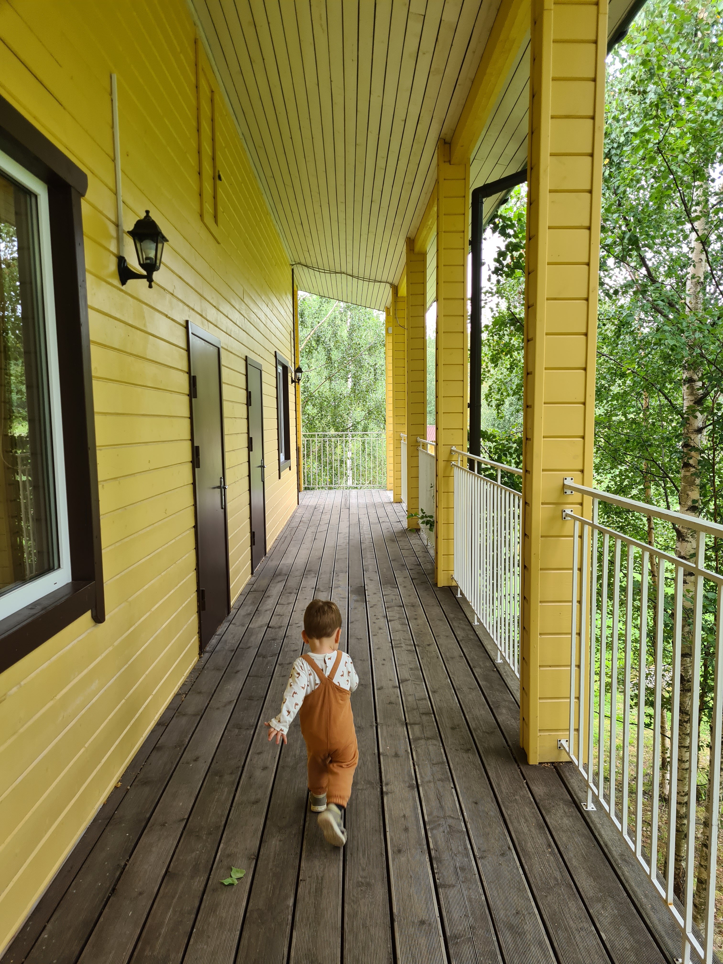 Фото Березки