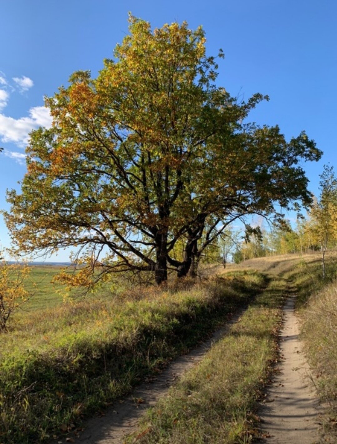 Фото Солнечный Пригорок