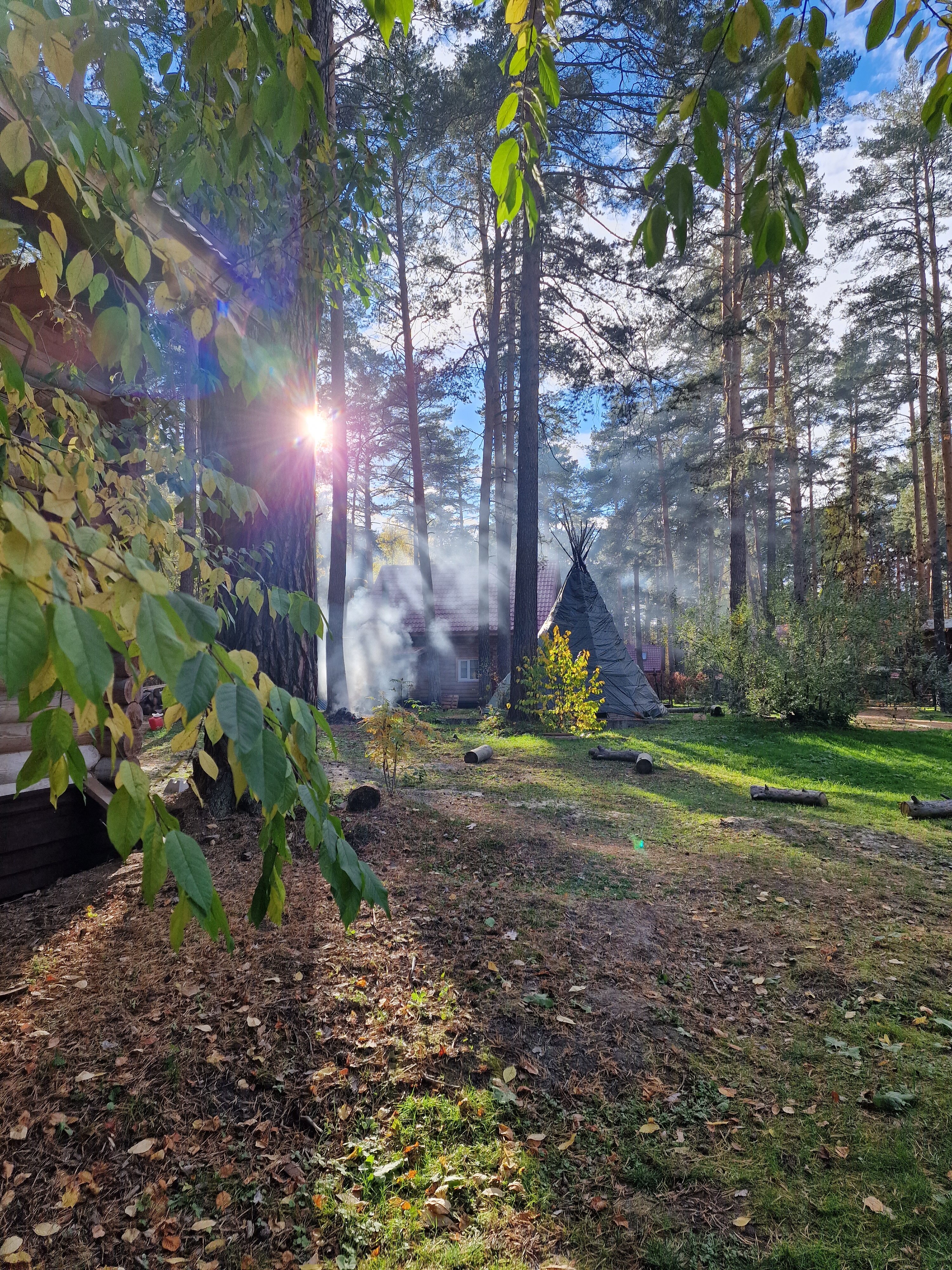 Фото Дача в соснах
