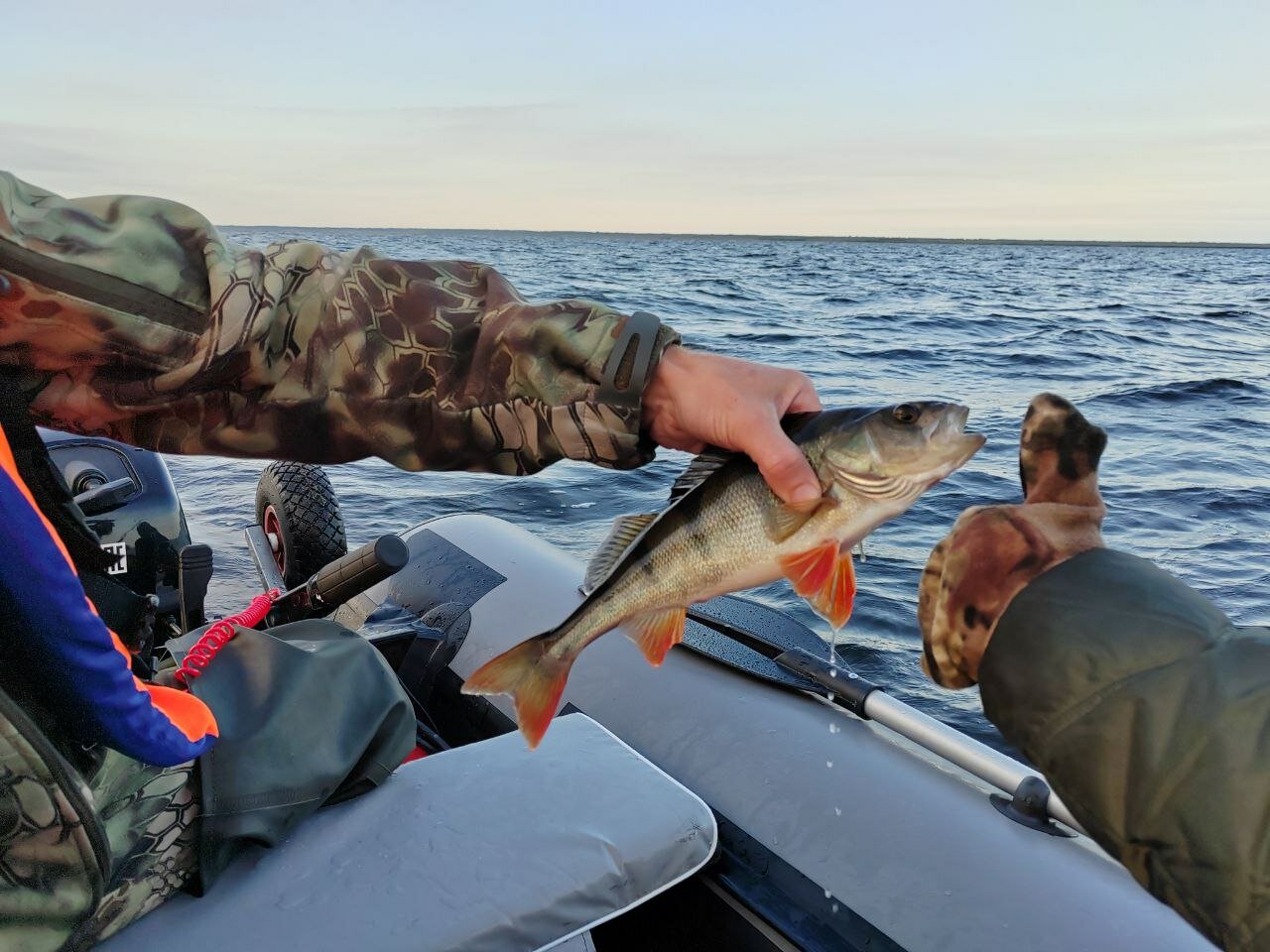 Фото Горизонт