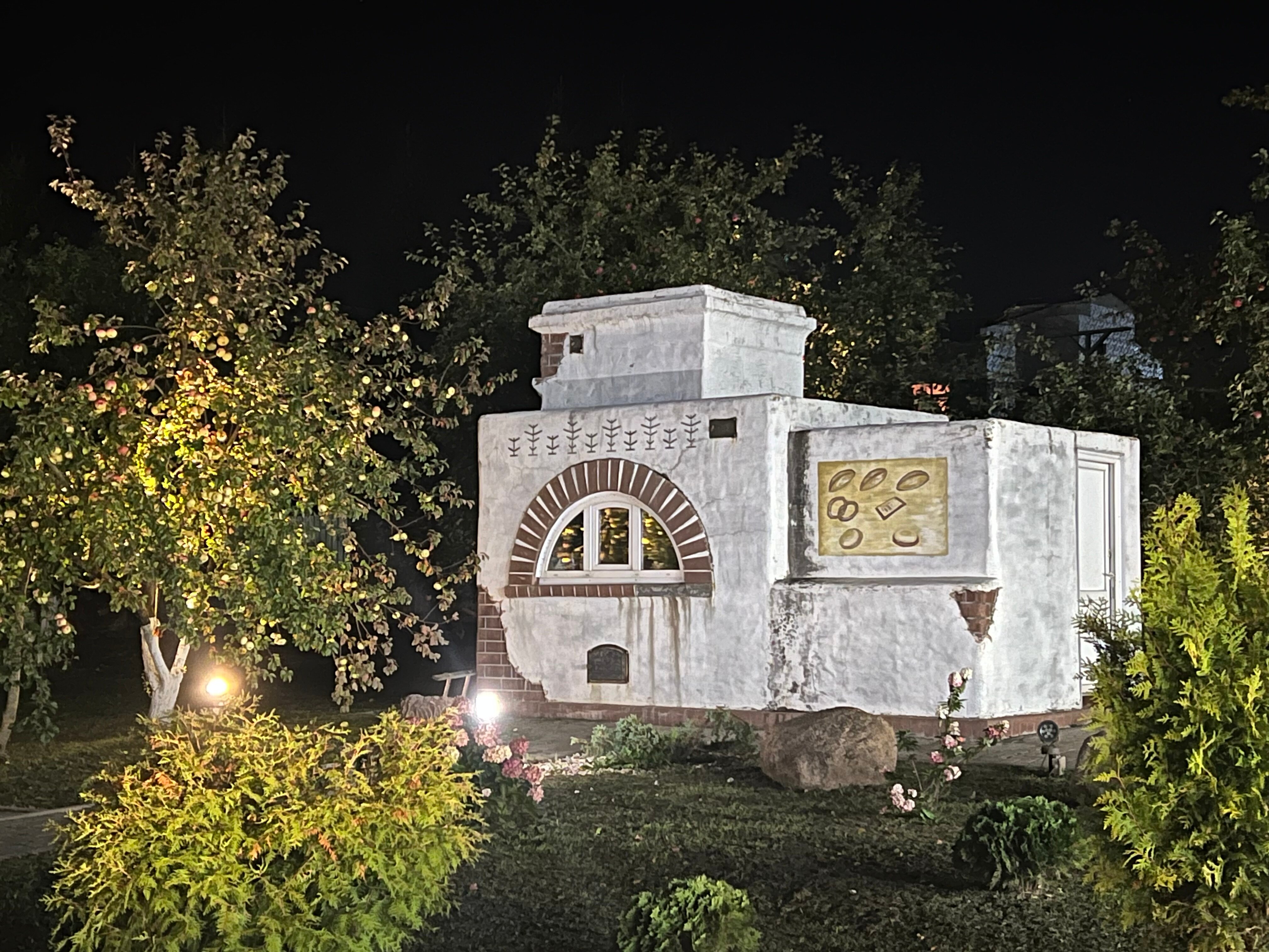 Фото Форест