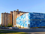Студия в центре (Kosmonavtov Street, 24), short-term housing rental