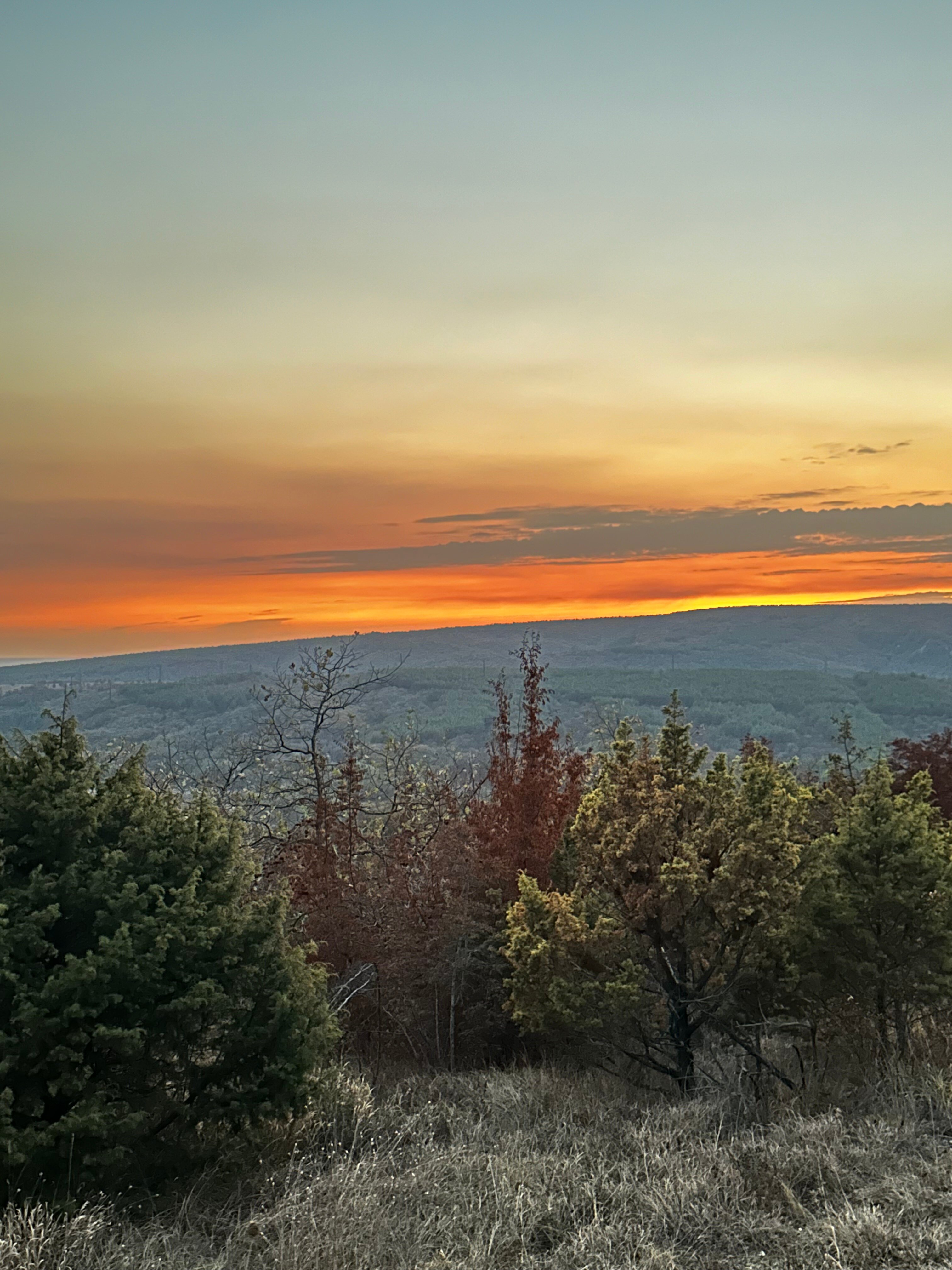 Фото Горный Енот