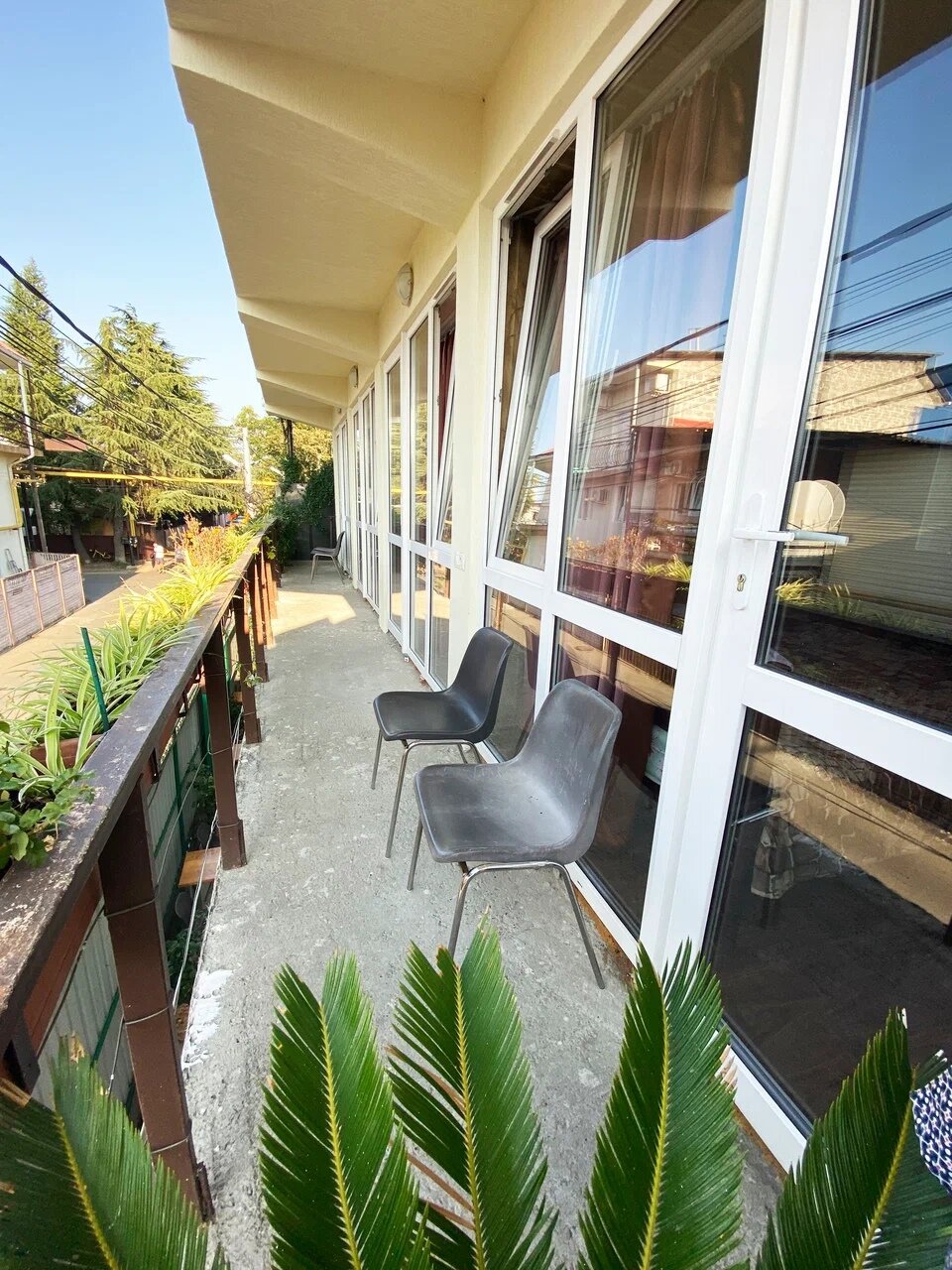 Фото Диковинка Сочи