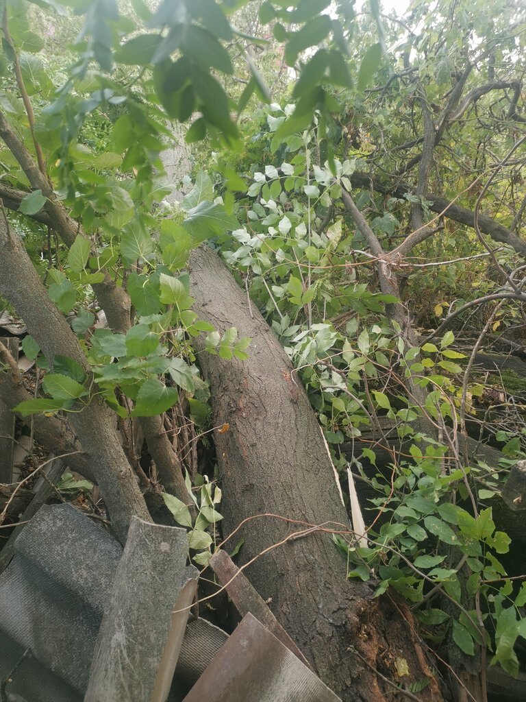 Search and rescue МКУ Пасф Служба спасения МО Староминский район, Krasnodar Krai, photo