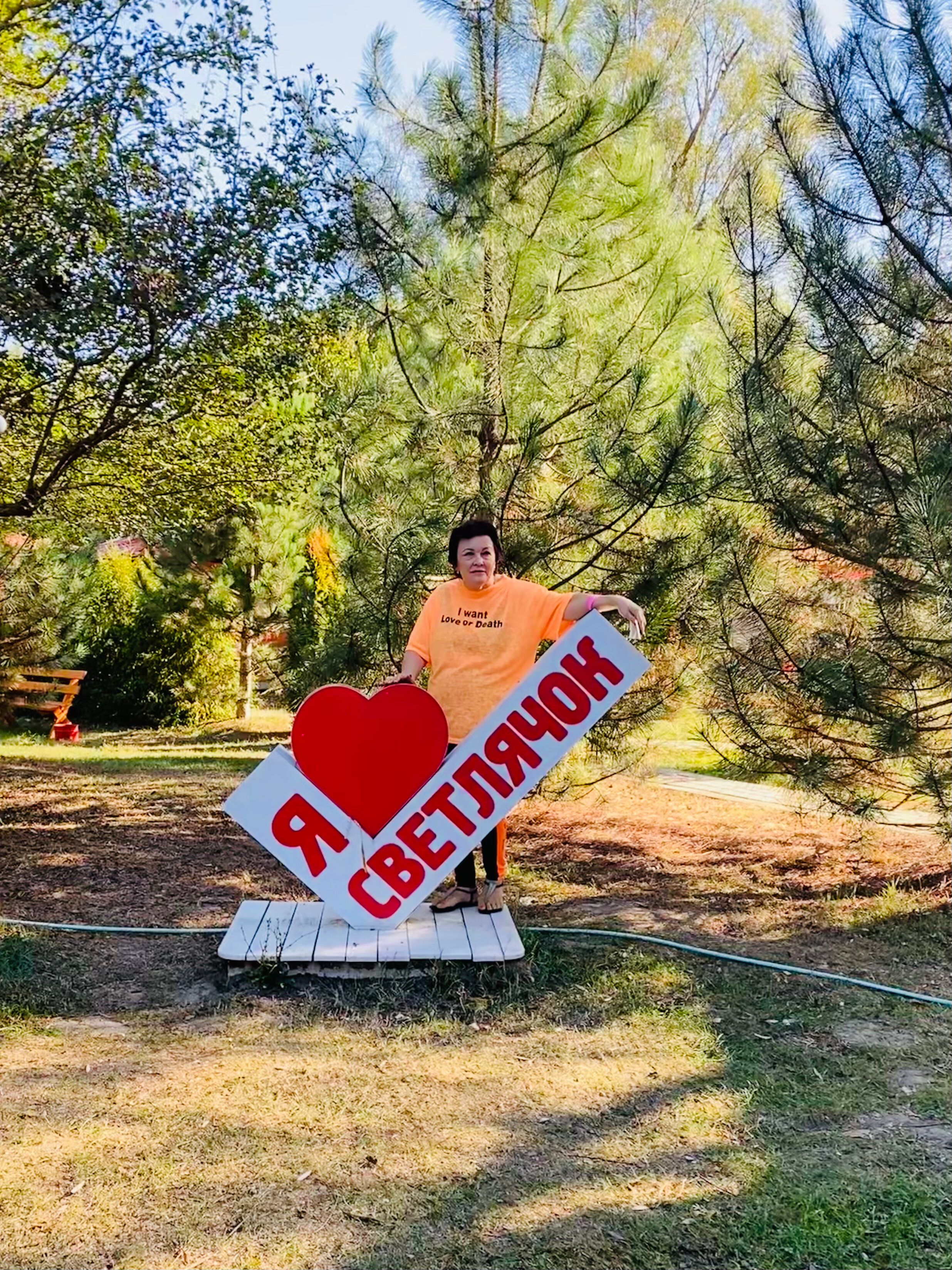 Фото Светлячок