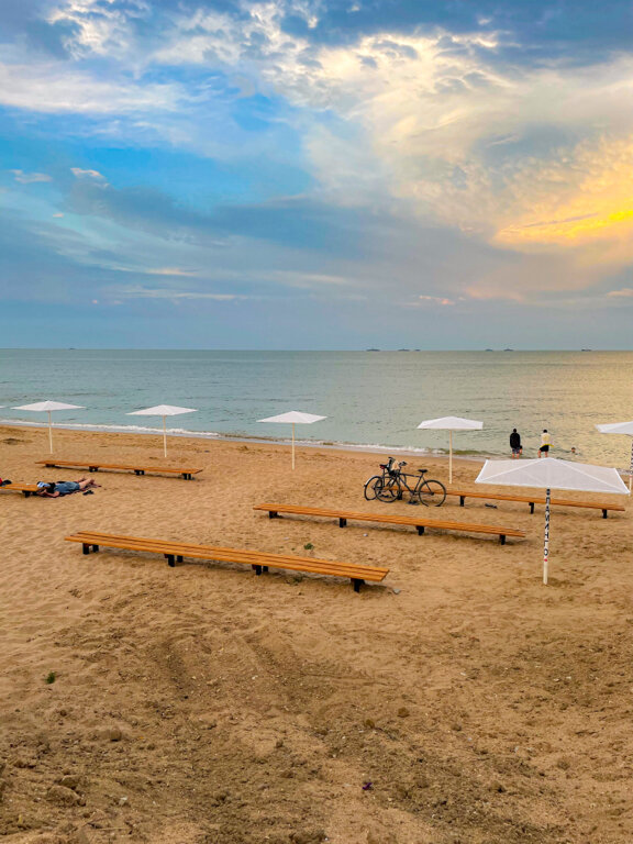 Фото Фламинго