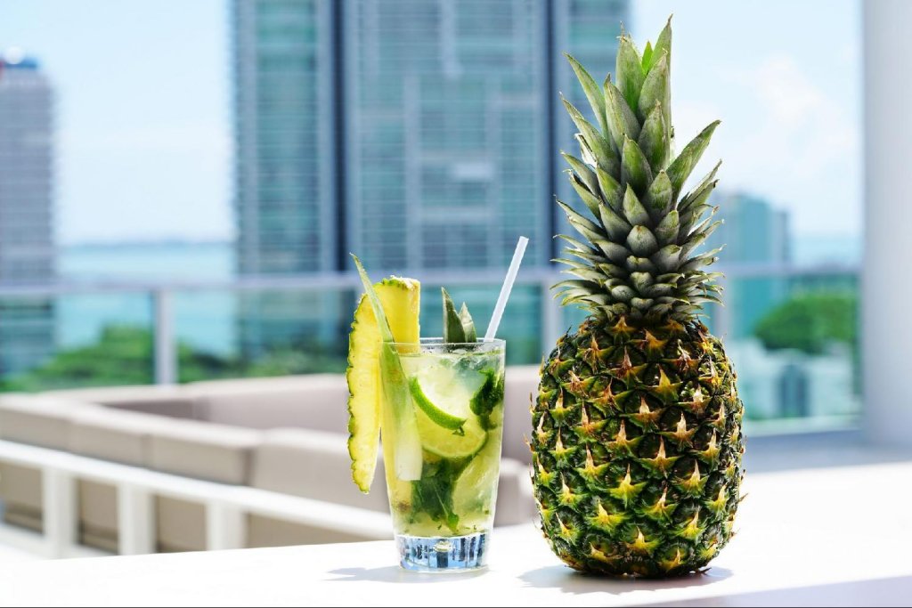 Фото Novotel Miami Brickell