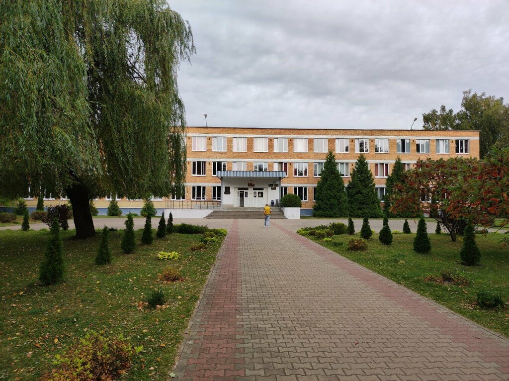 Escuela de enseñanza general Srednyaya shkola № 12 im K. L. Gubarevicha Guo, , foto