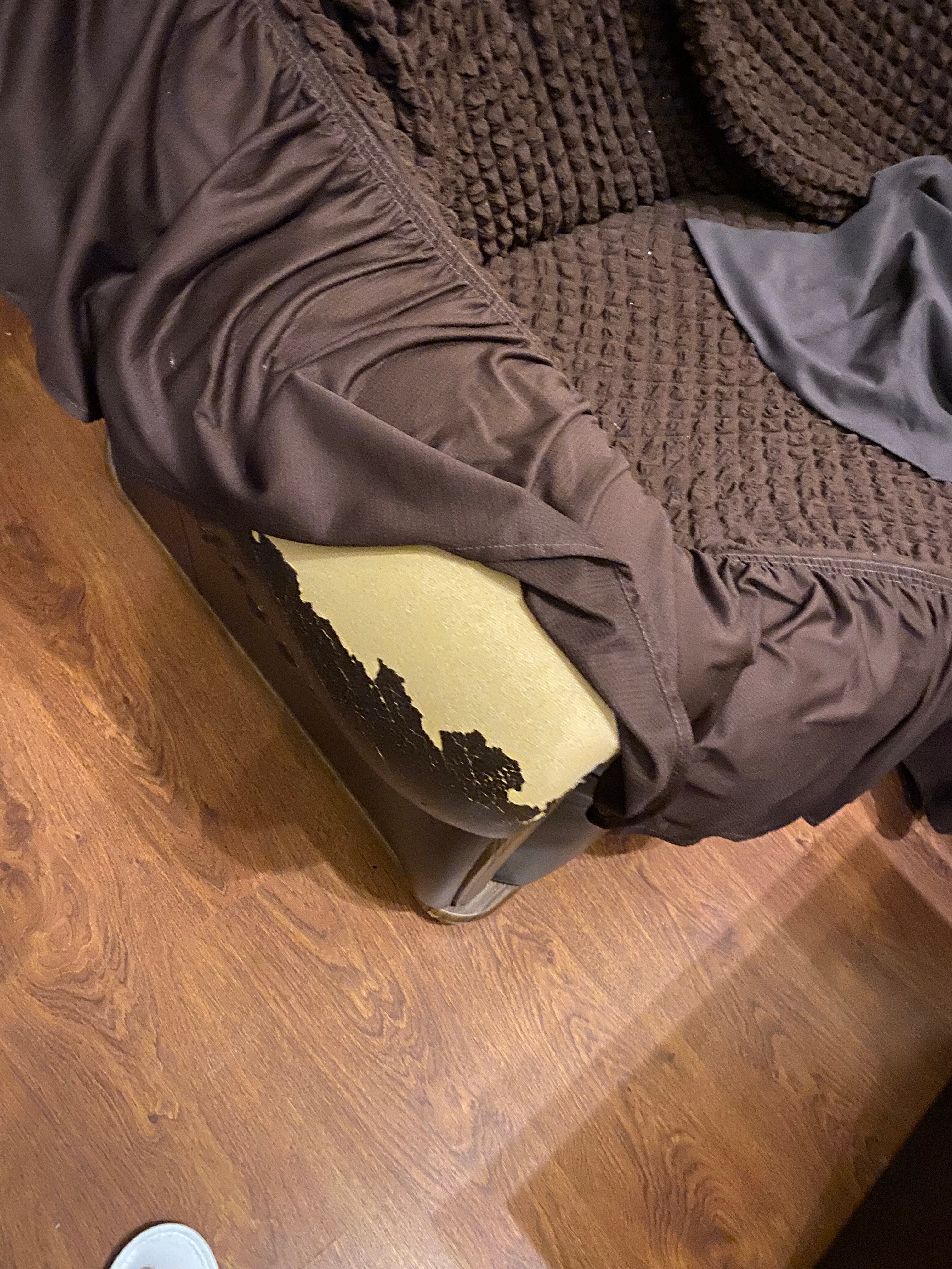 Фото Лазарь