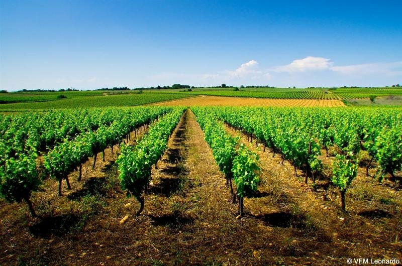 Фото Holiday Inn Express Montpellier - Odysseum