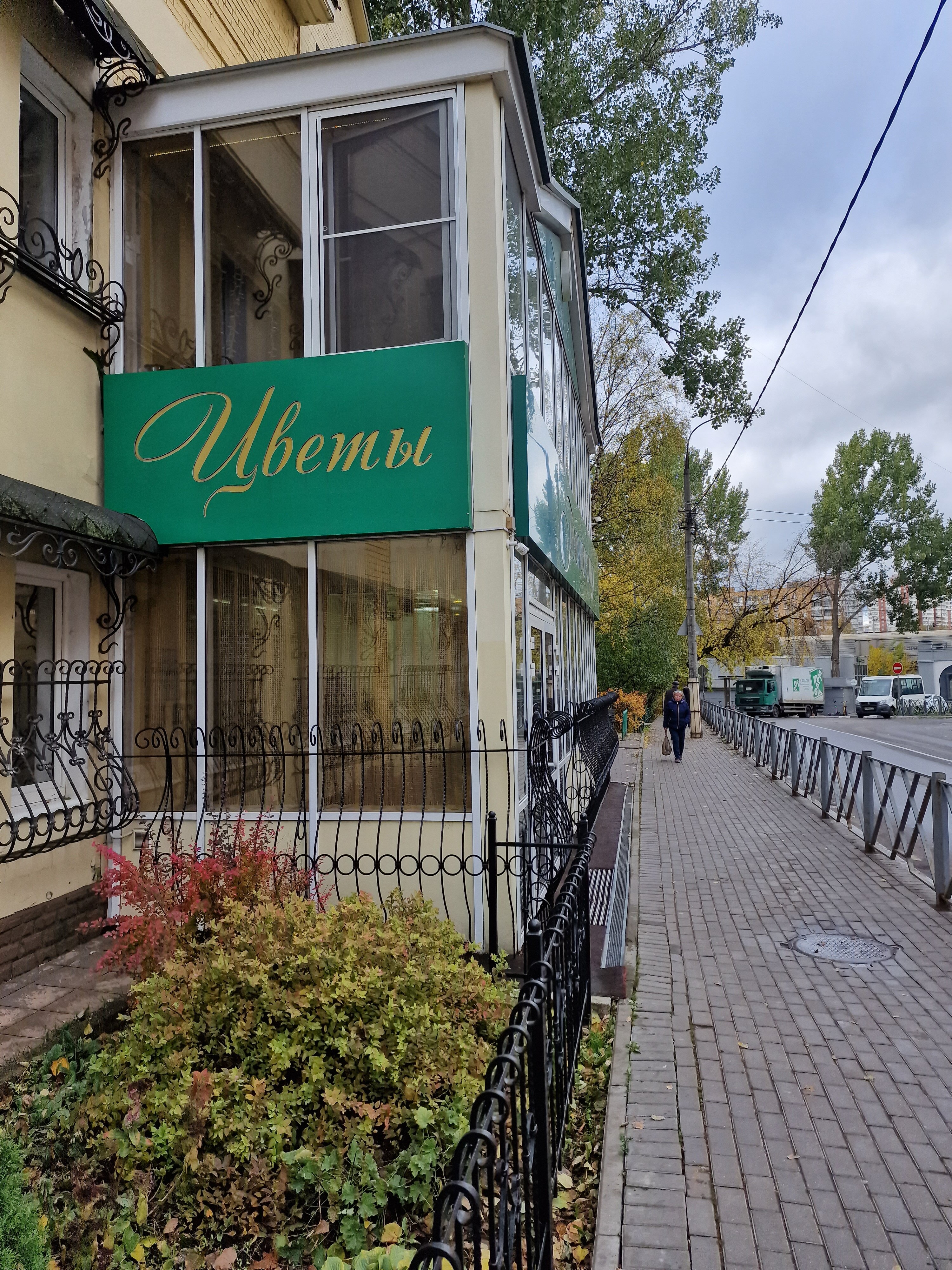 Фото Клевер