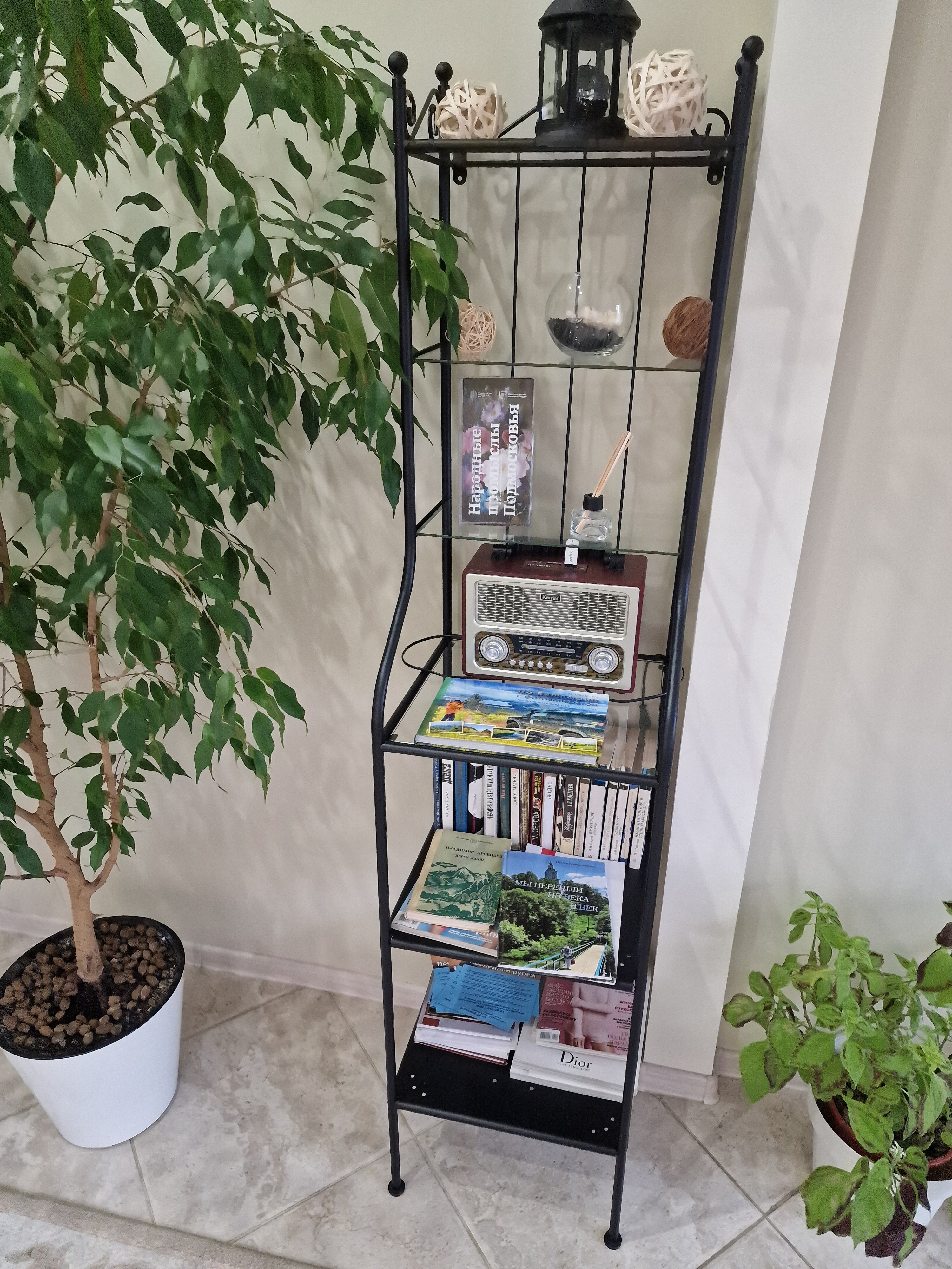 Фото Клевер