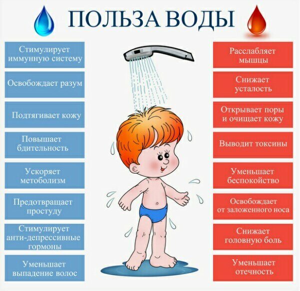 Вода в организме человека проект Peds Dehydration Flashcards Quizlet