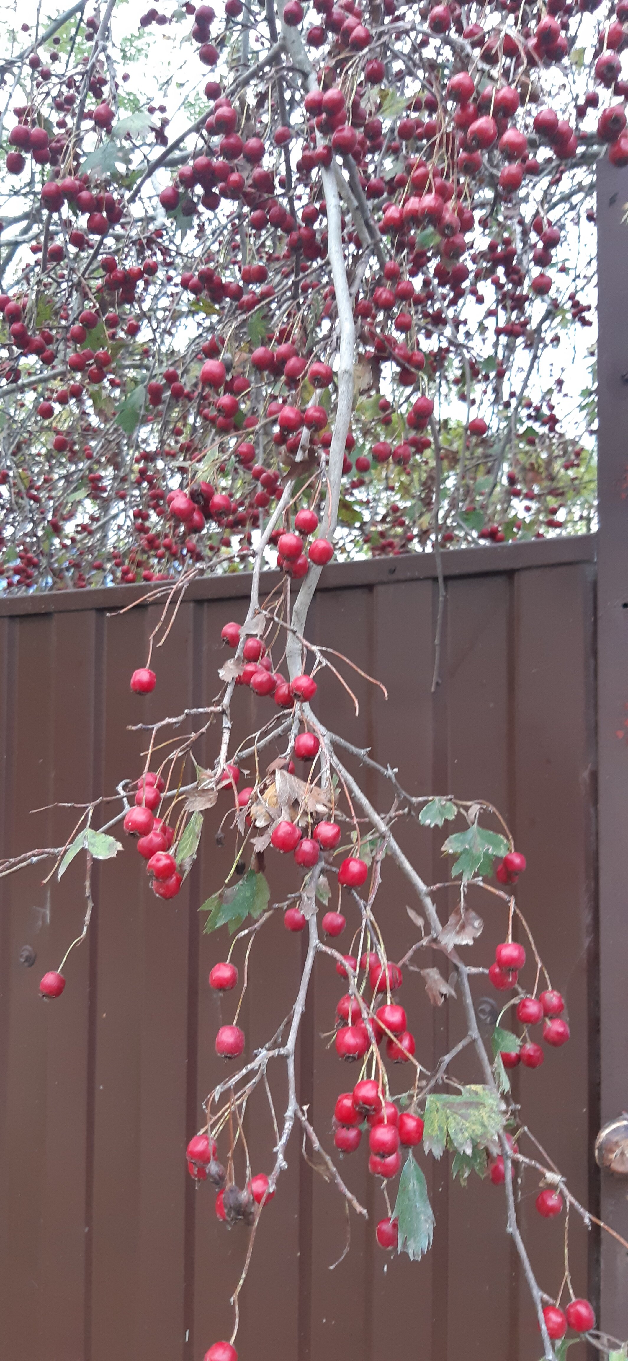 Фото У Оксаны