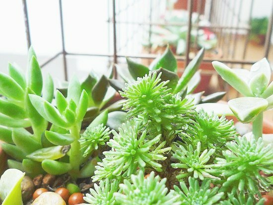 Фото Musesun Youth Hotel