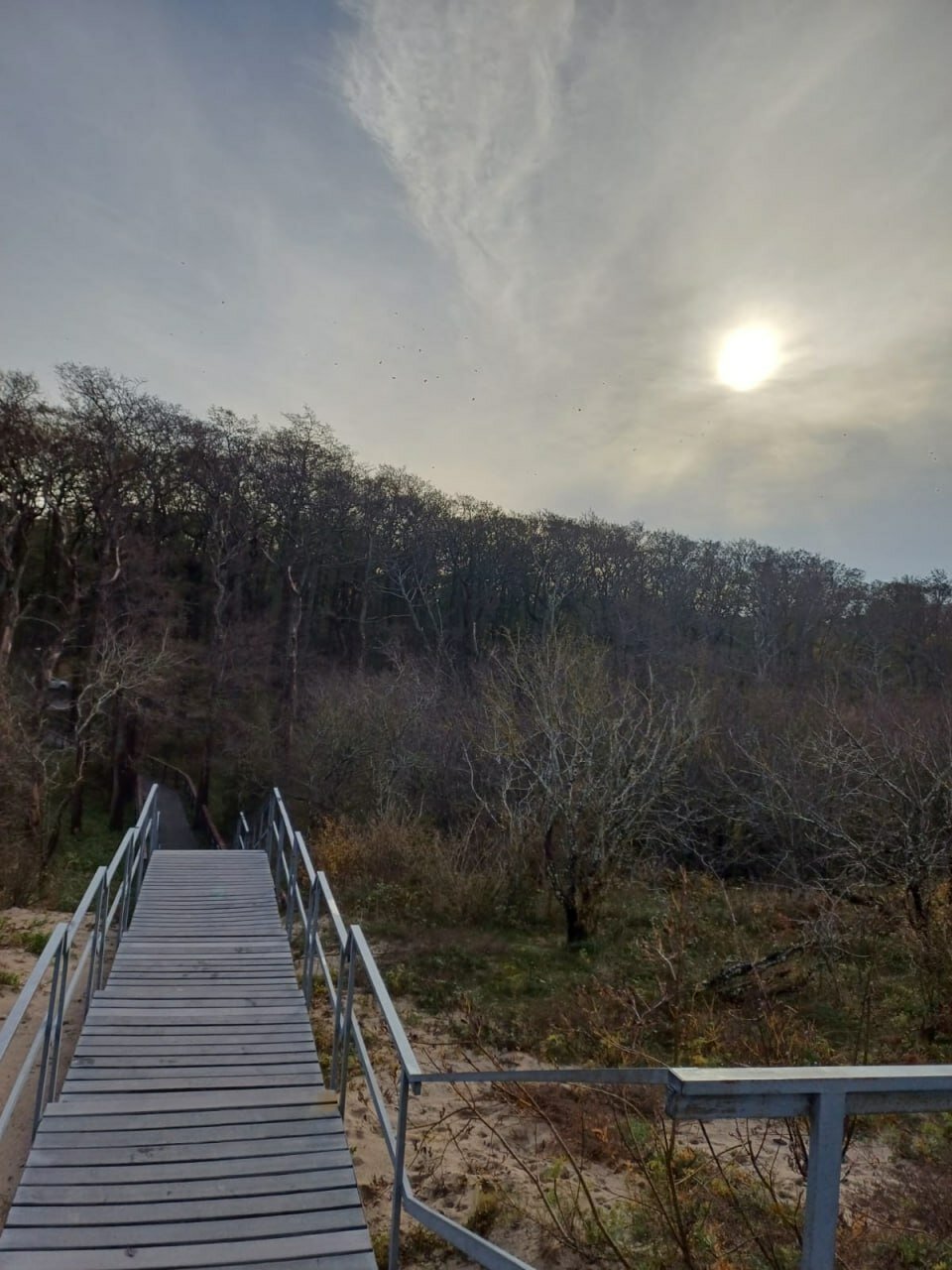 Фото Куршале