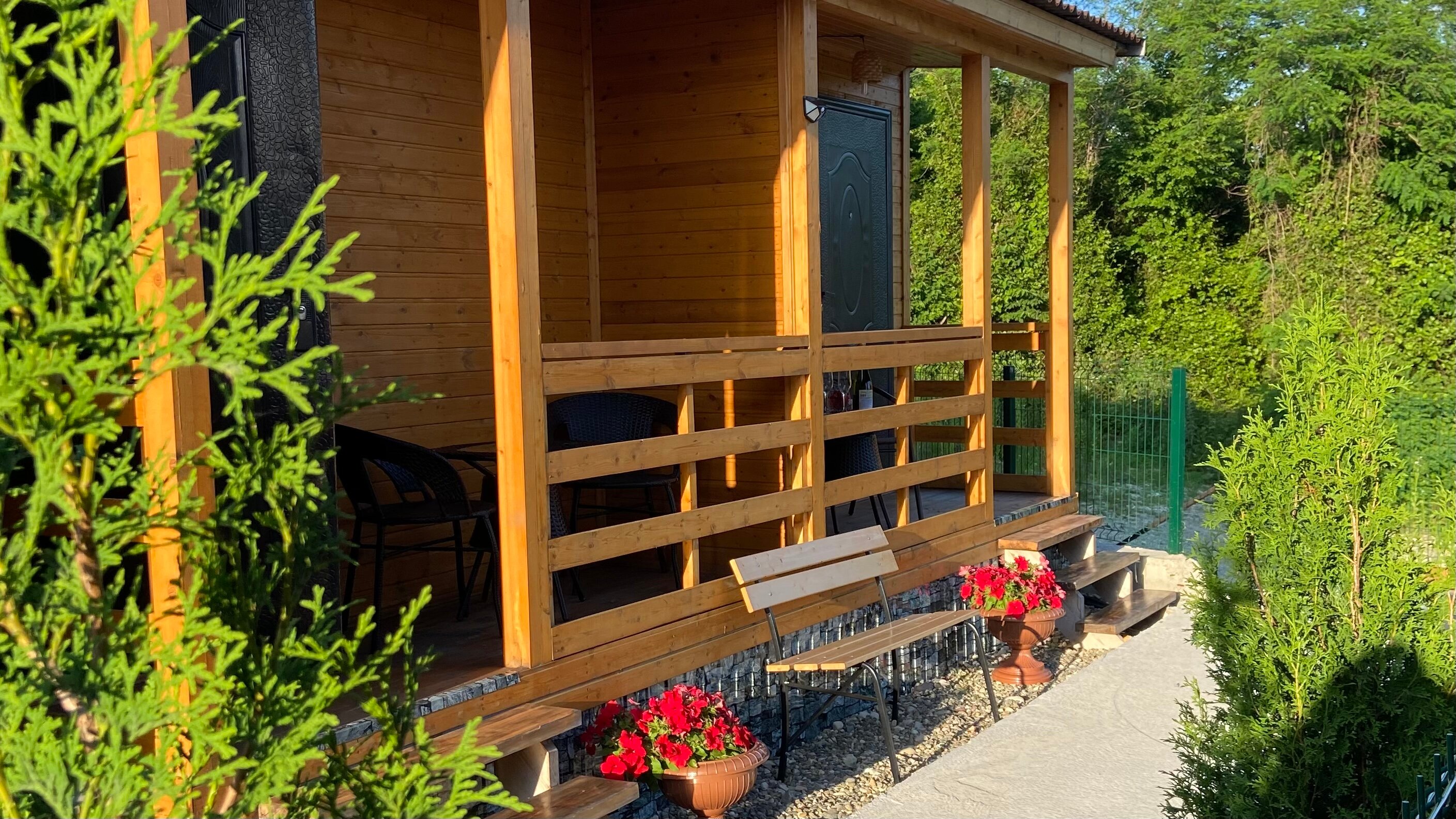 Фото Дельфин