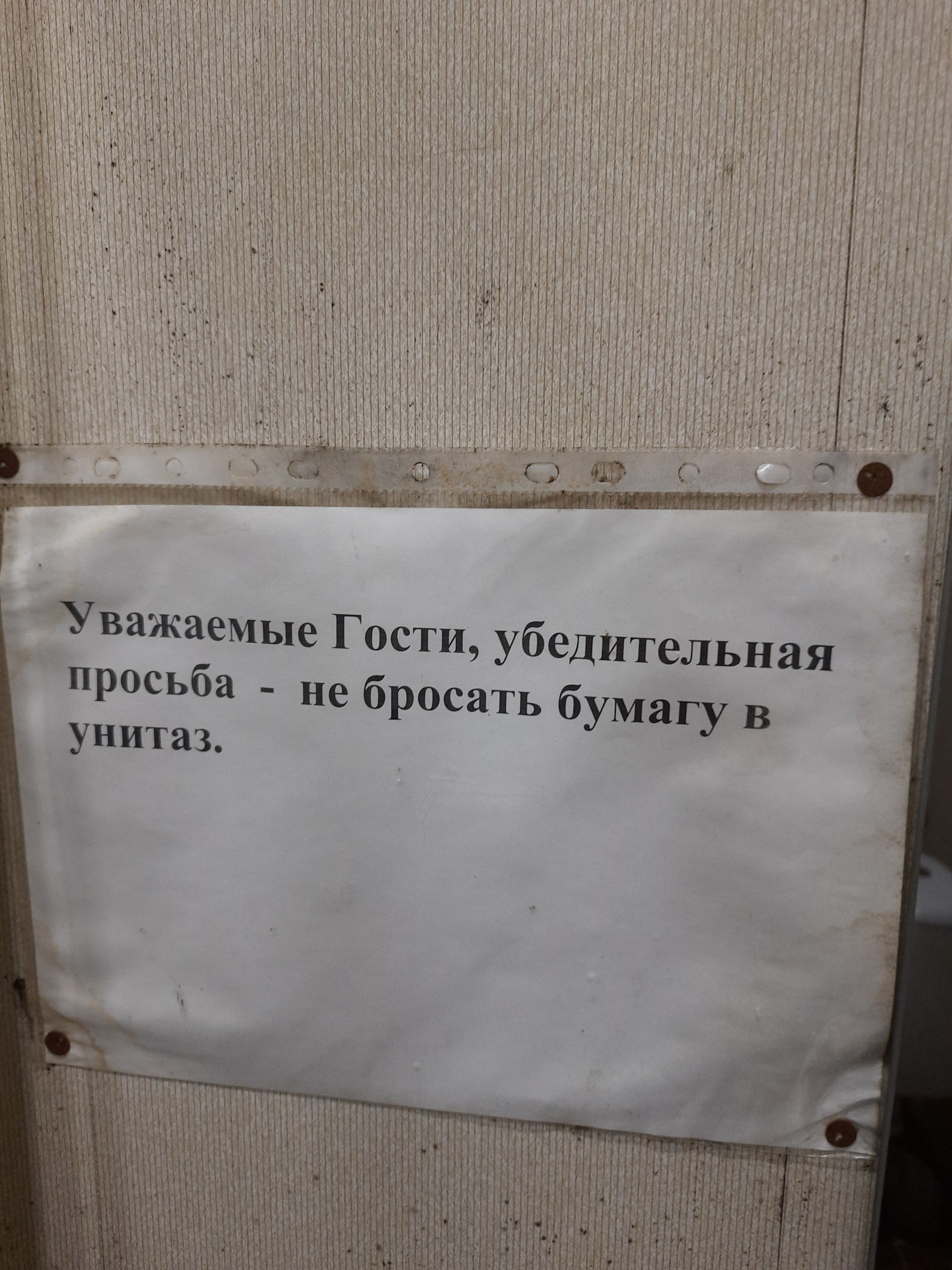 Фото Надежда