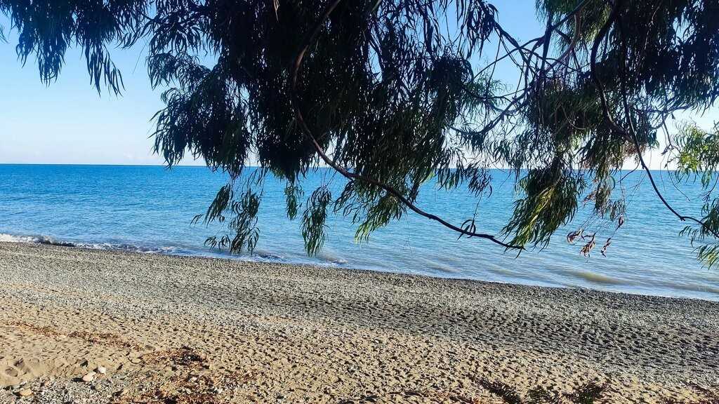 Фото Сказка