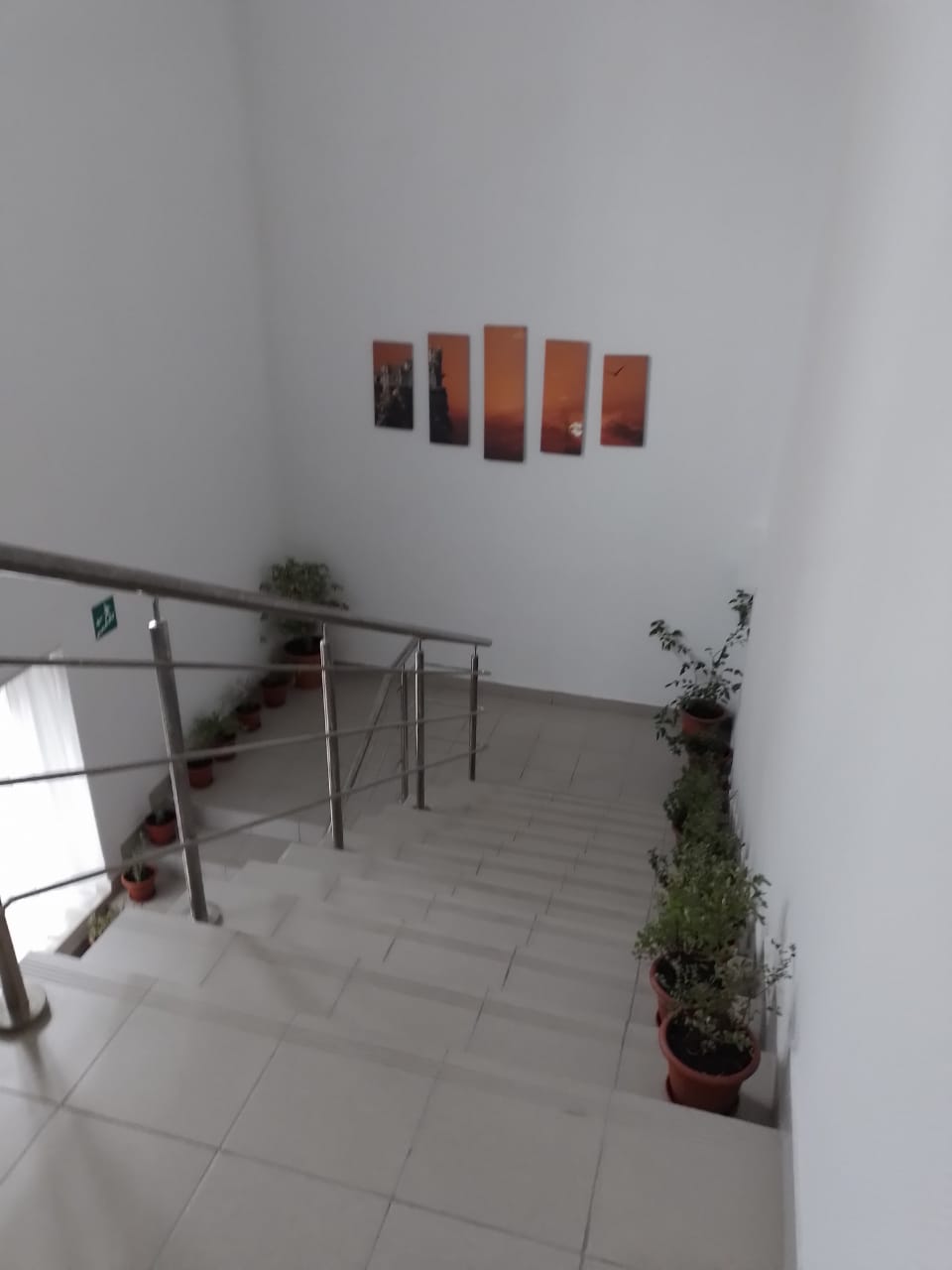 Фото Прованс