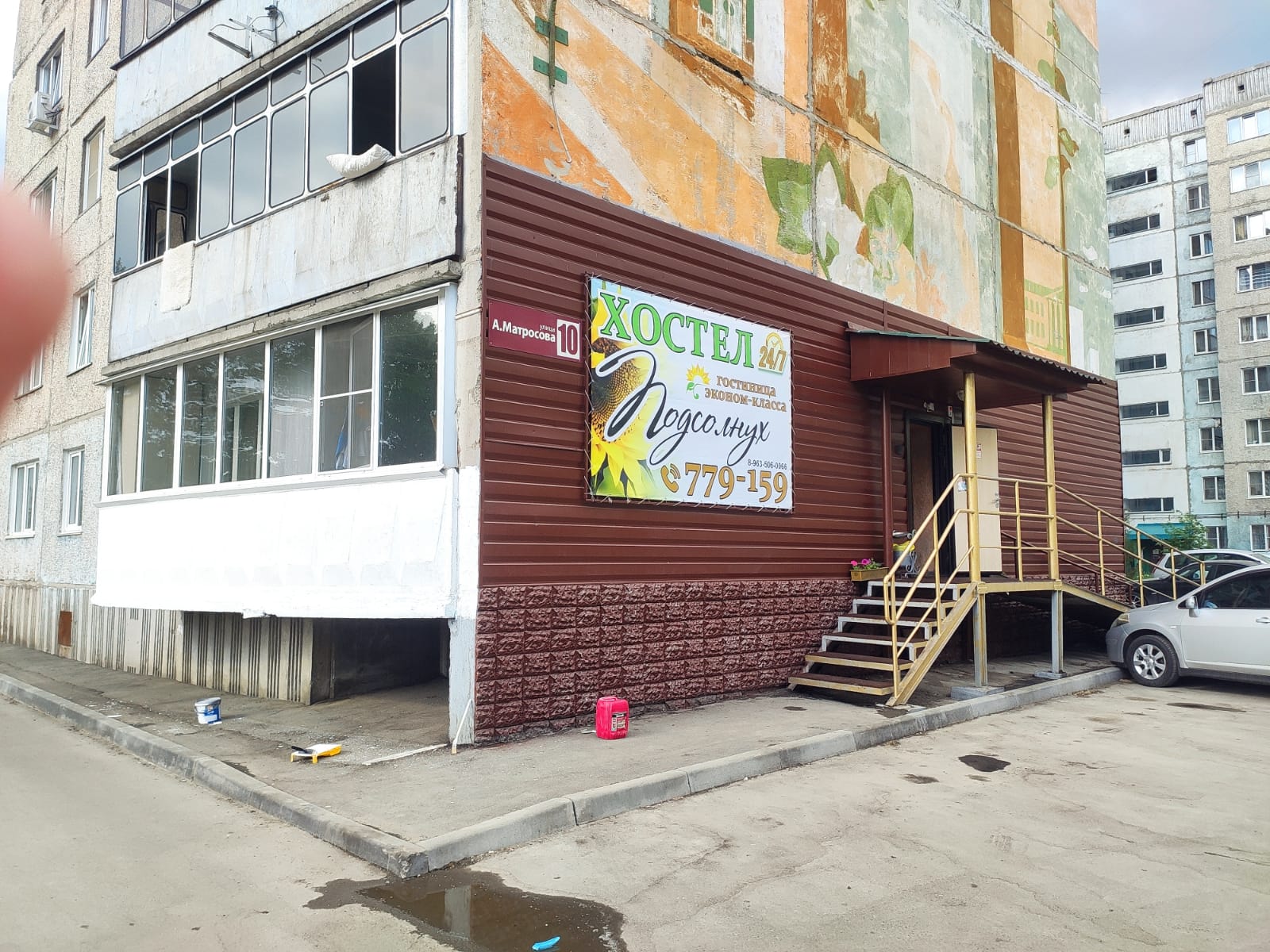 Фото Подсолнух