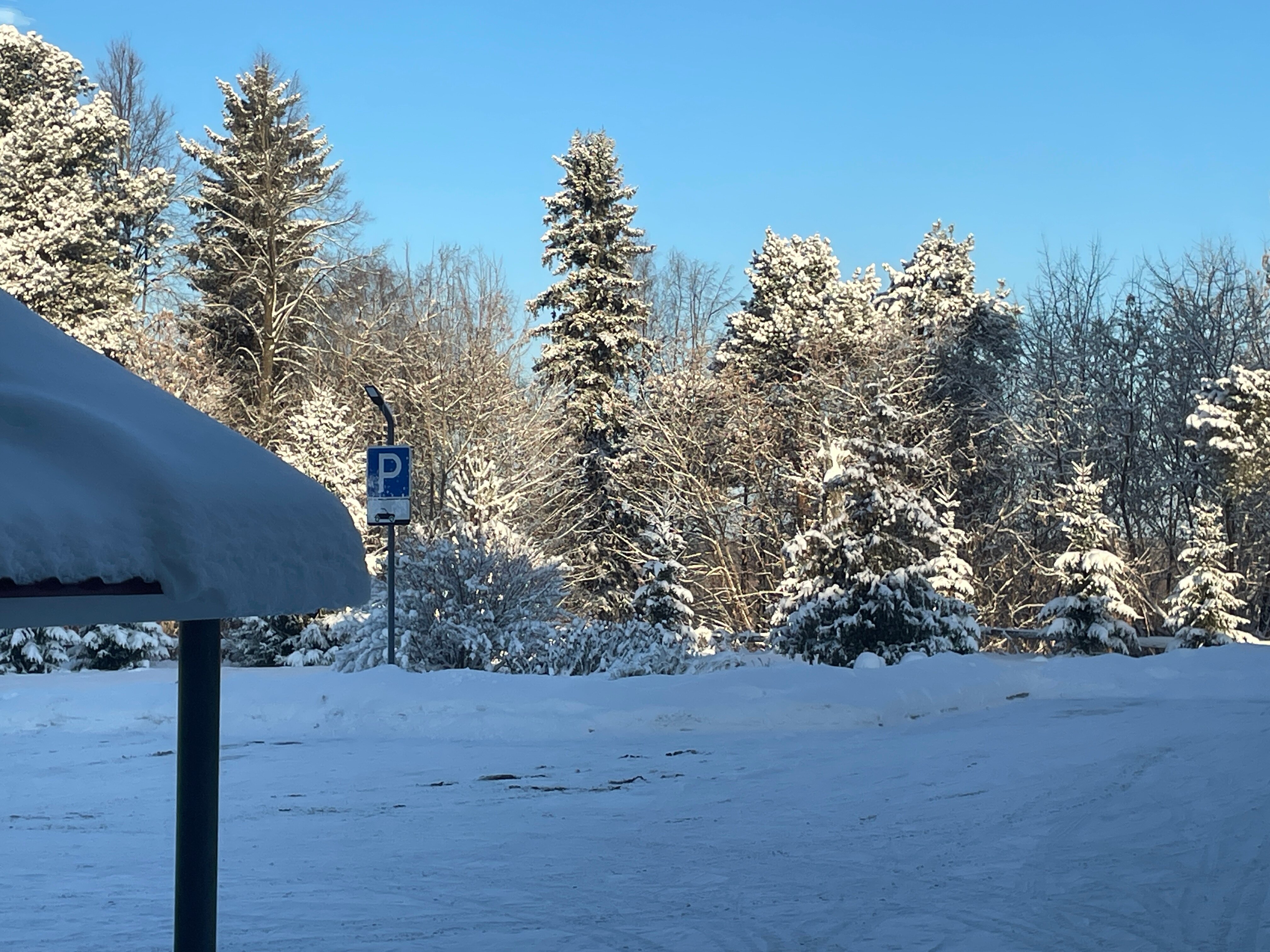 Фото Студия 23