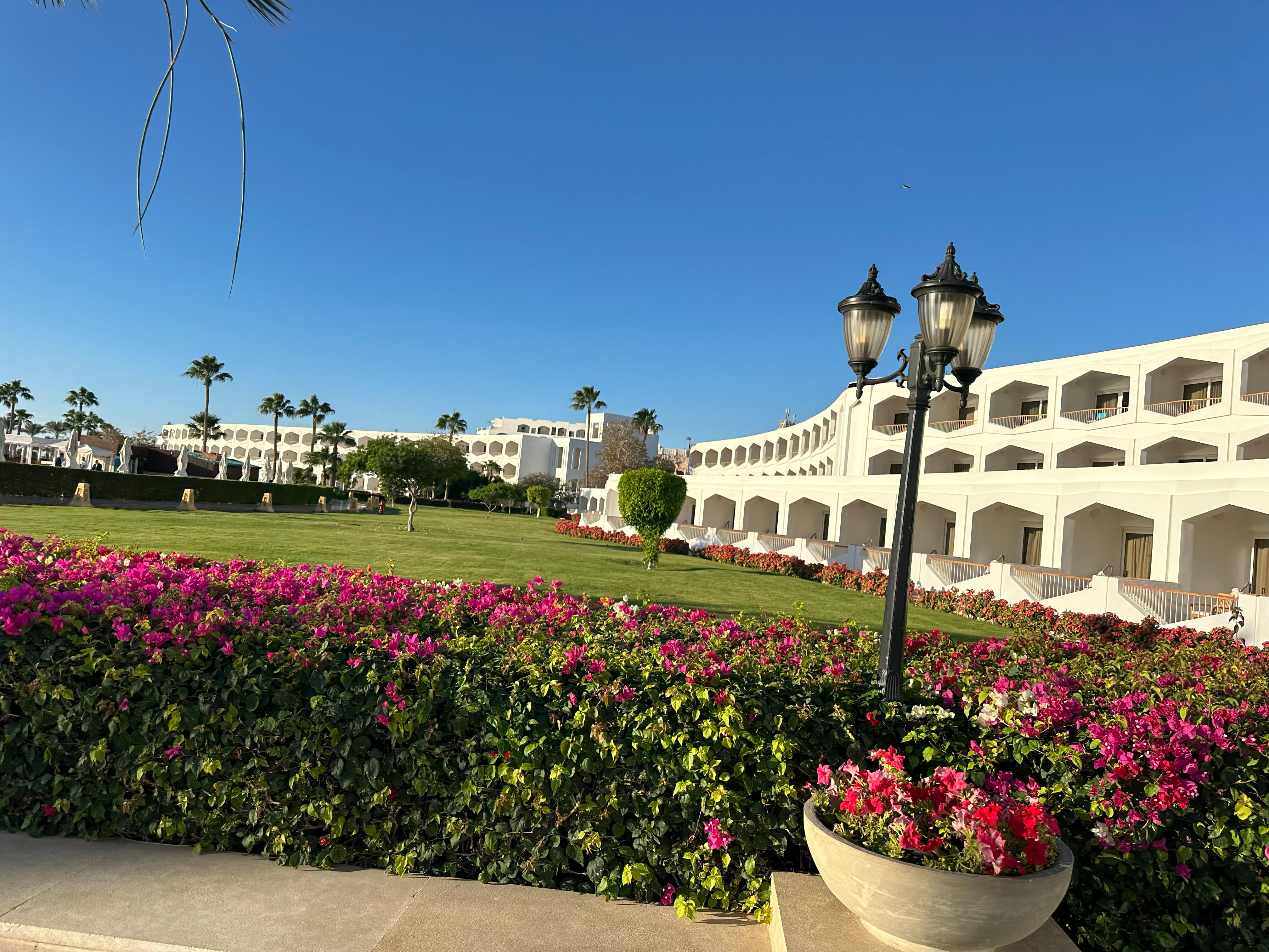 Фото Baron Palms Resort Sharm El Sheikh