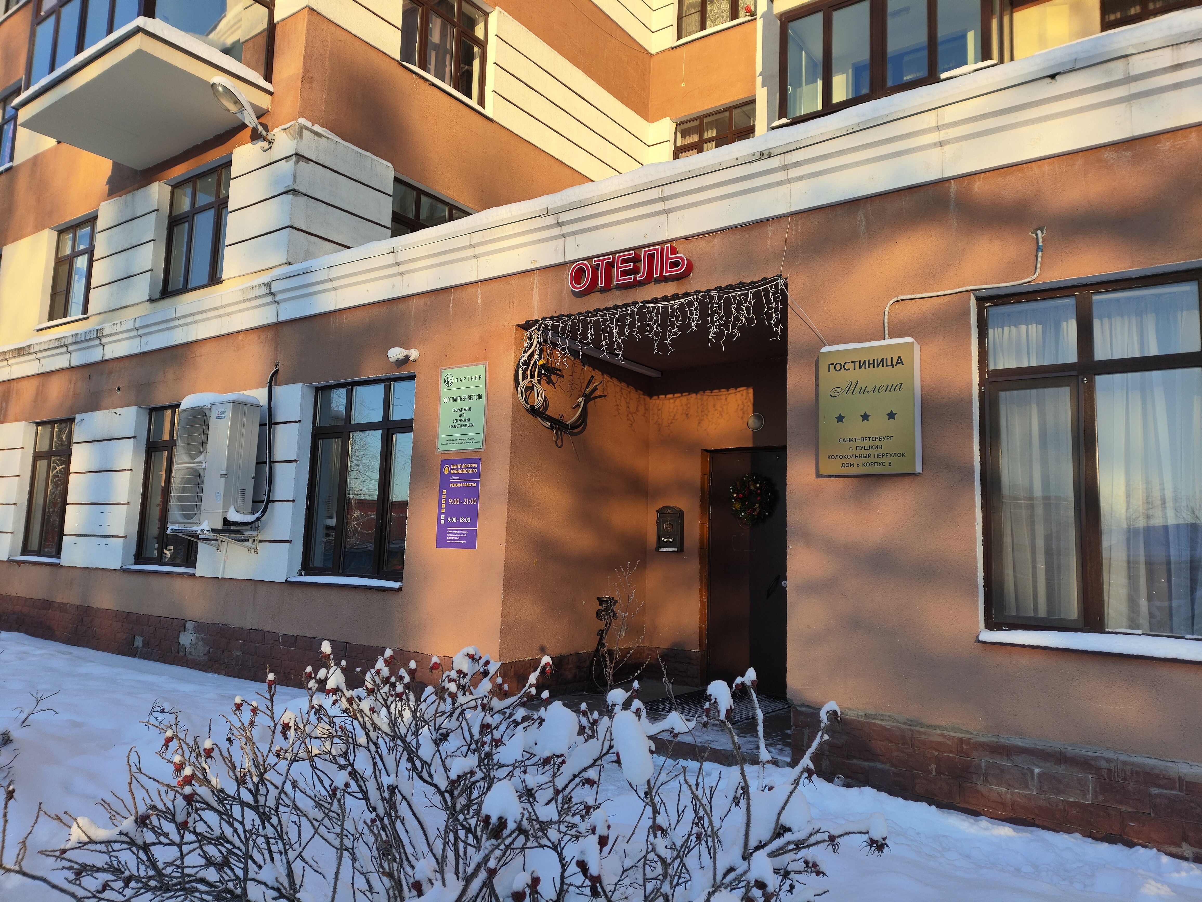 Фото Милена