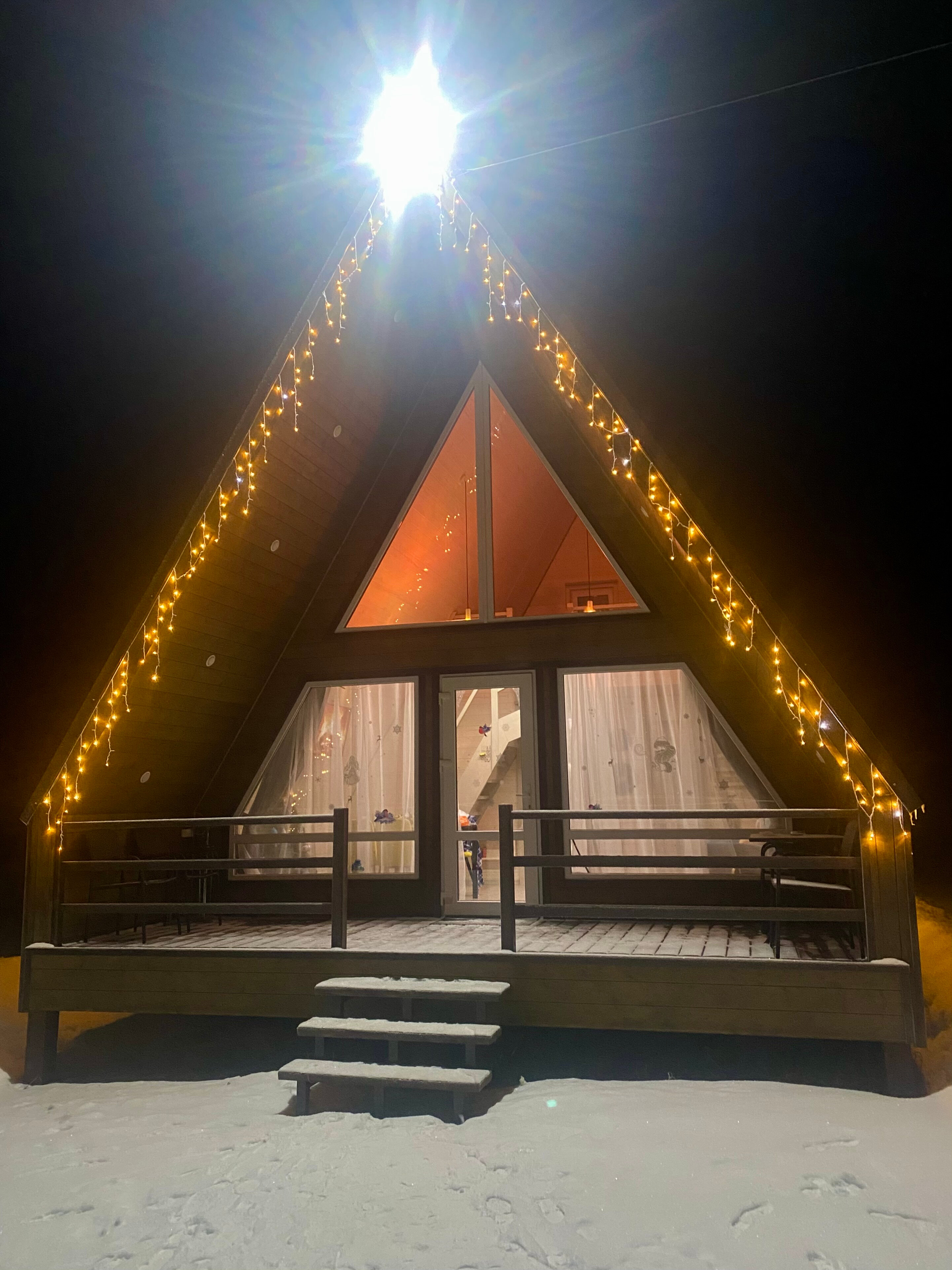 Фото Волшебный лес