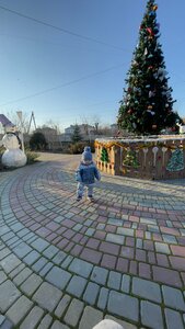 парк Приятное свидание (Autonomous Republic of Crimea, Sovetskiy rayon, selo Krasnogvardeyskoye, ulitsa 60 let Sovetskoy Armii), park
