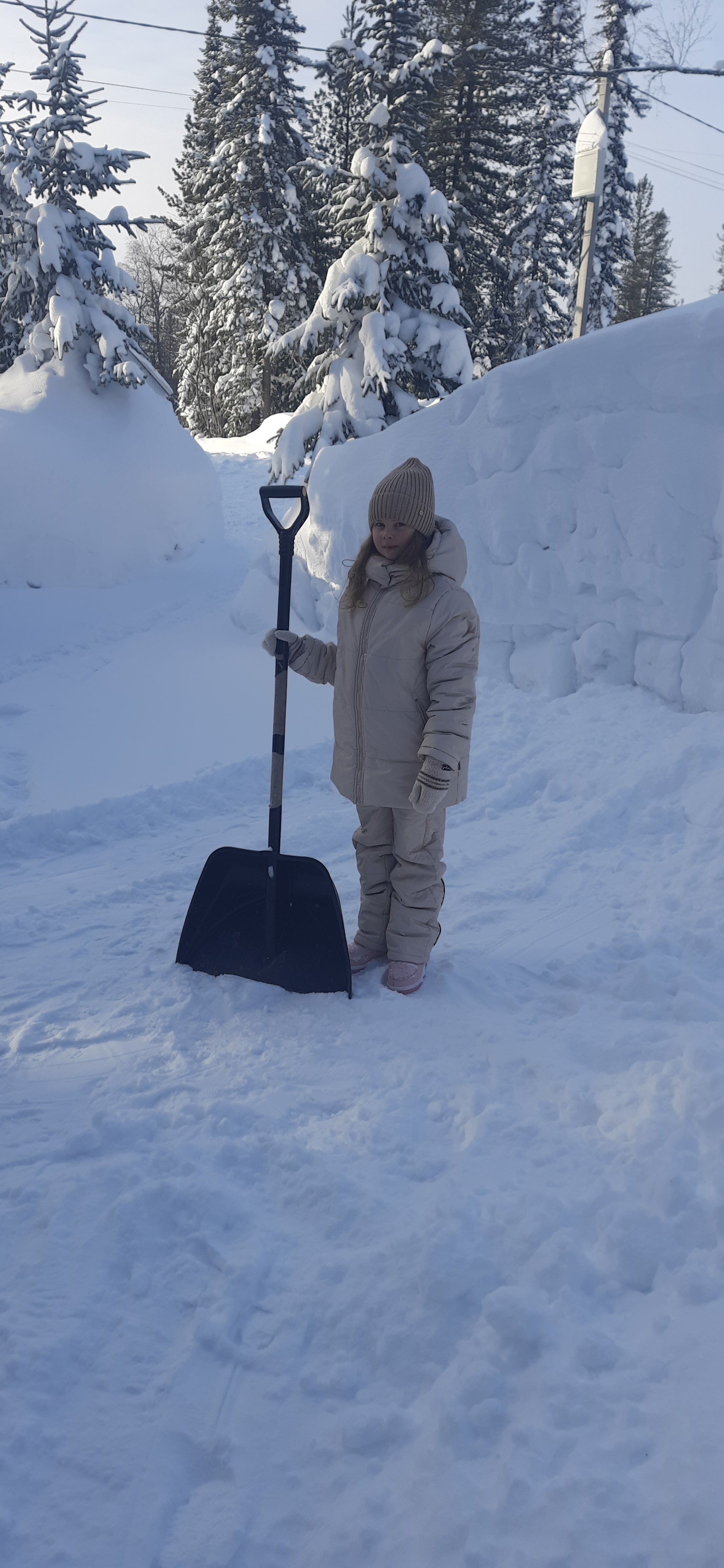 Фото Fox House Sheregesh