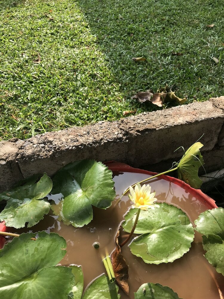 Фото Aiden Court