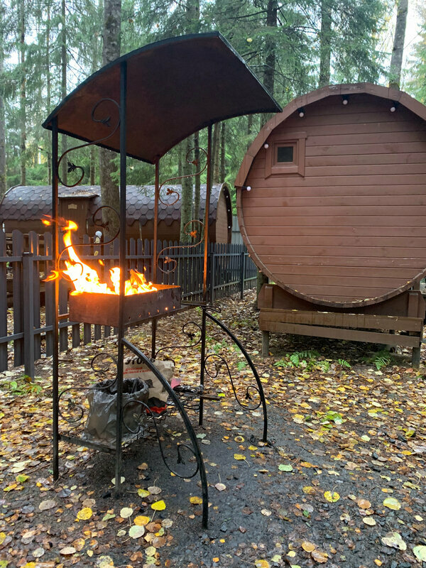 Фото Elki в Новожилово