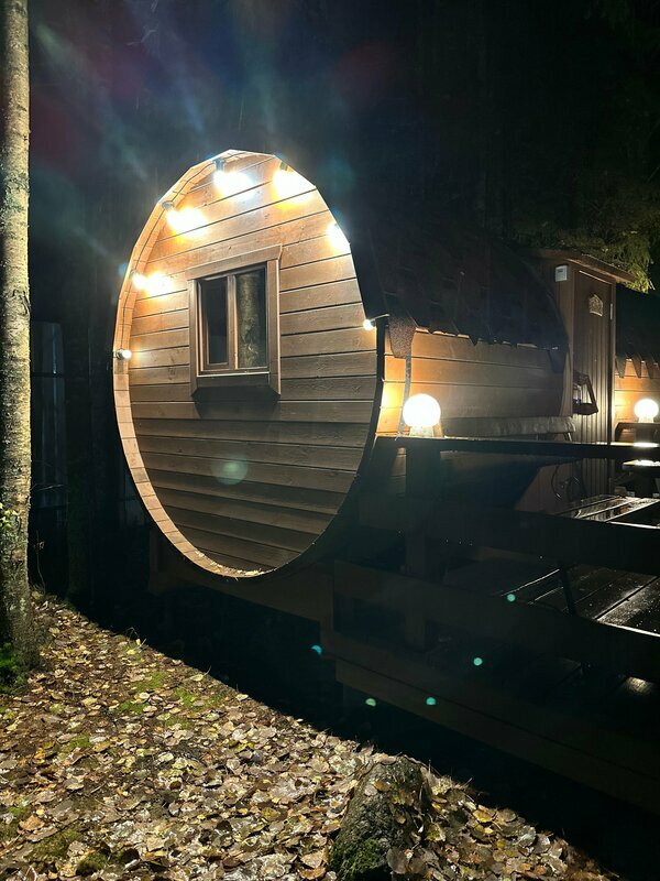 Фото Elki в Новожилово