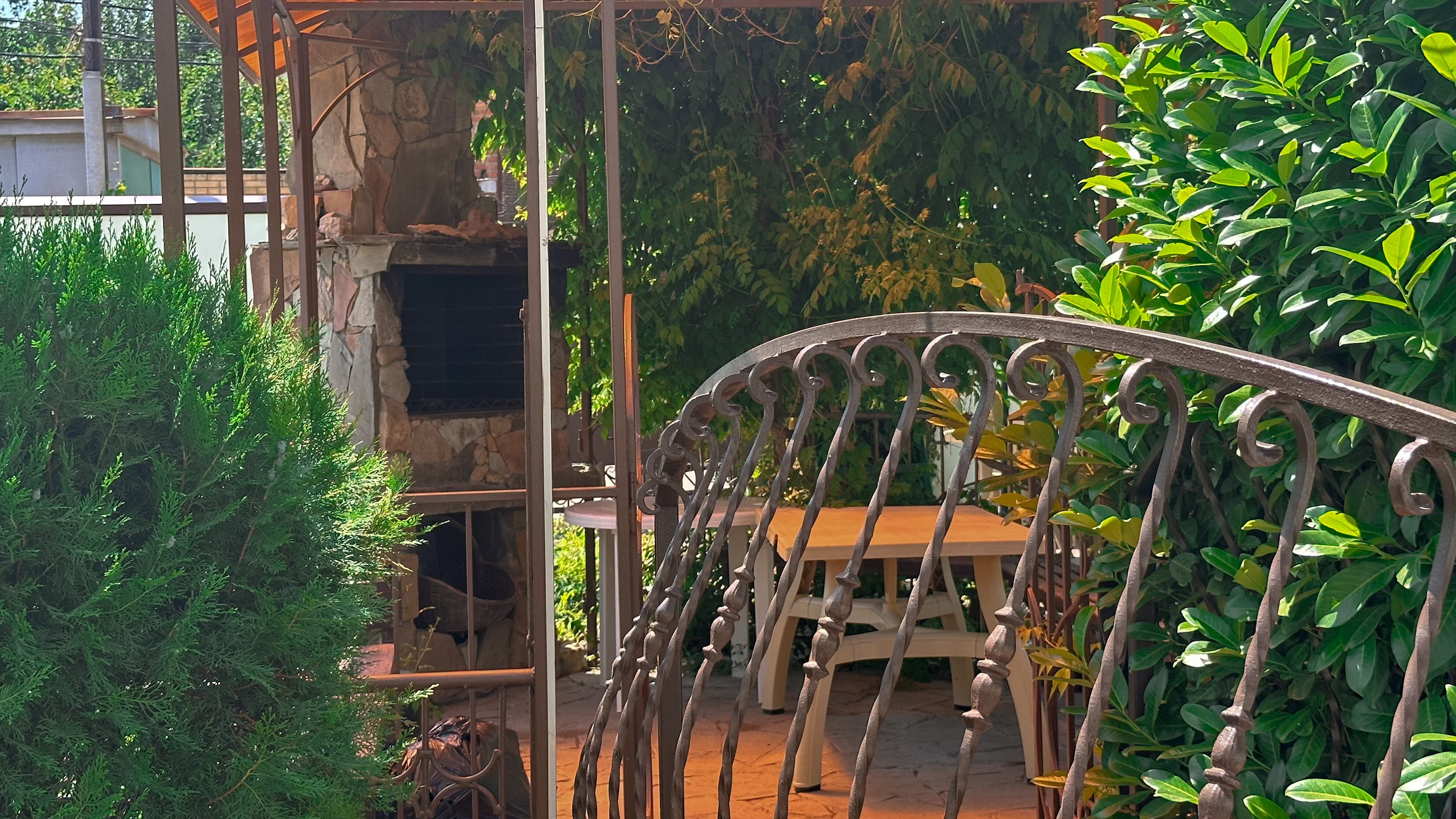 Фото Дельфиния