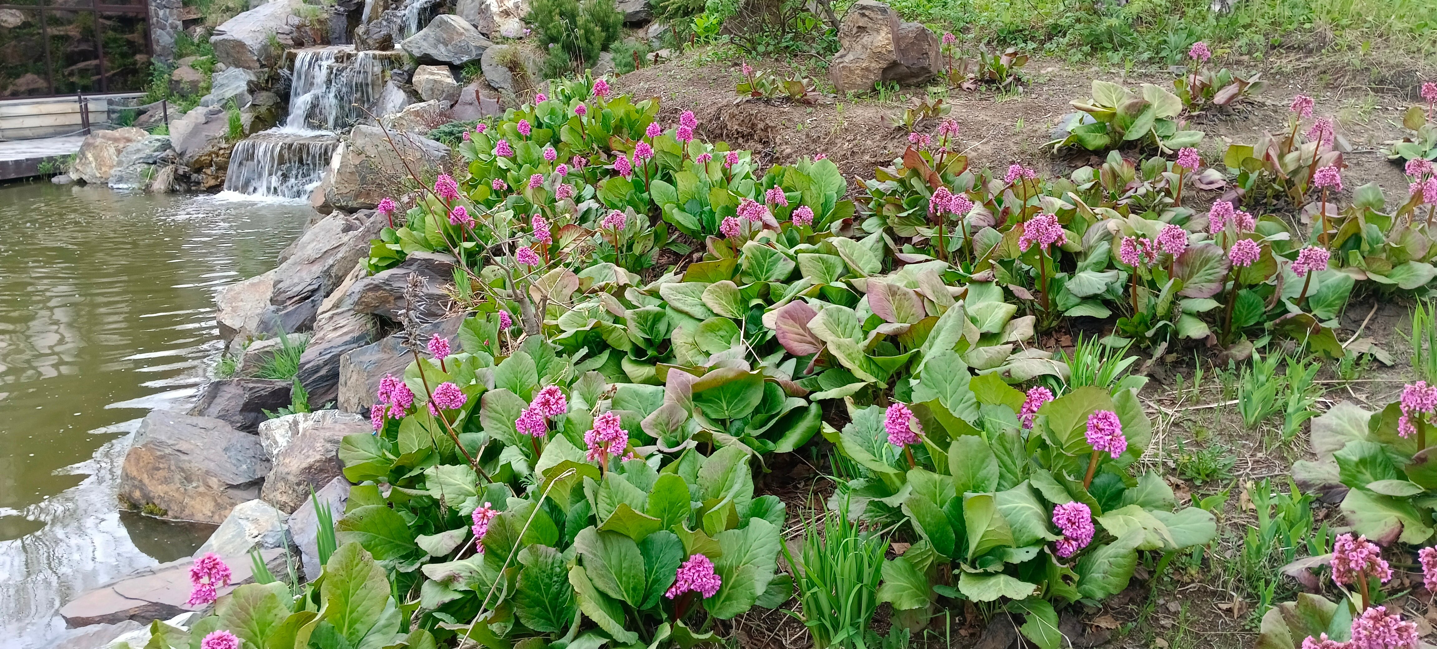 Фото Деревенька