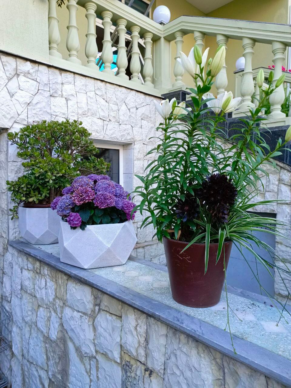 Фото Грин Хаус