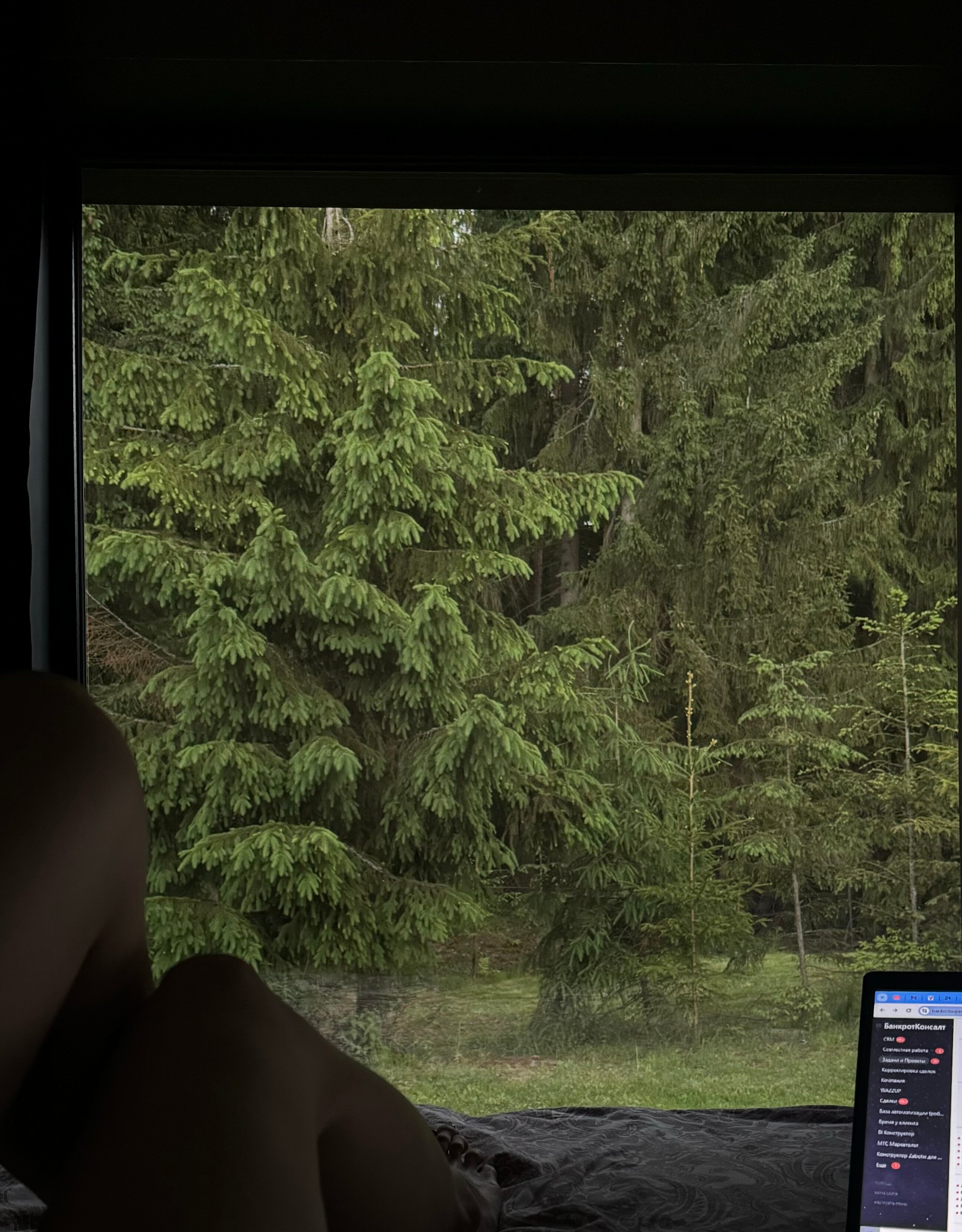 Фото Гусихаус