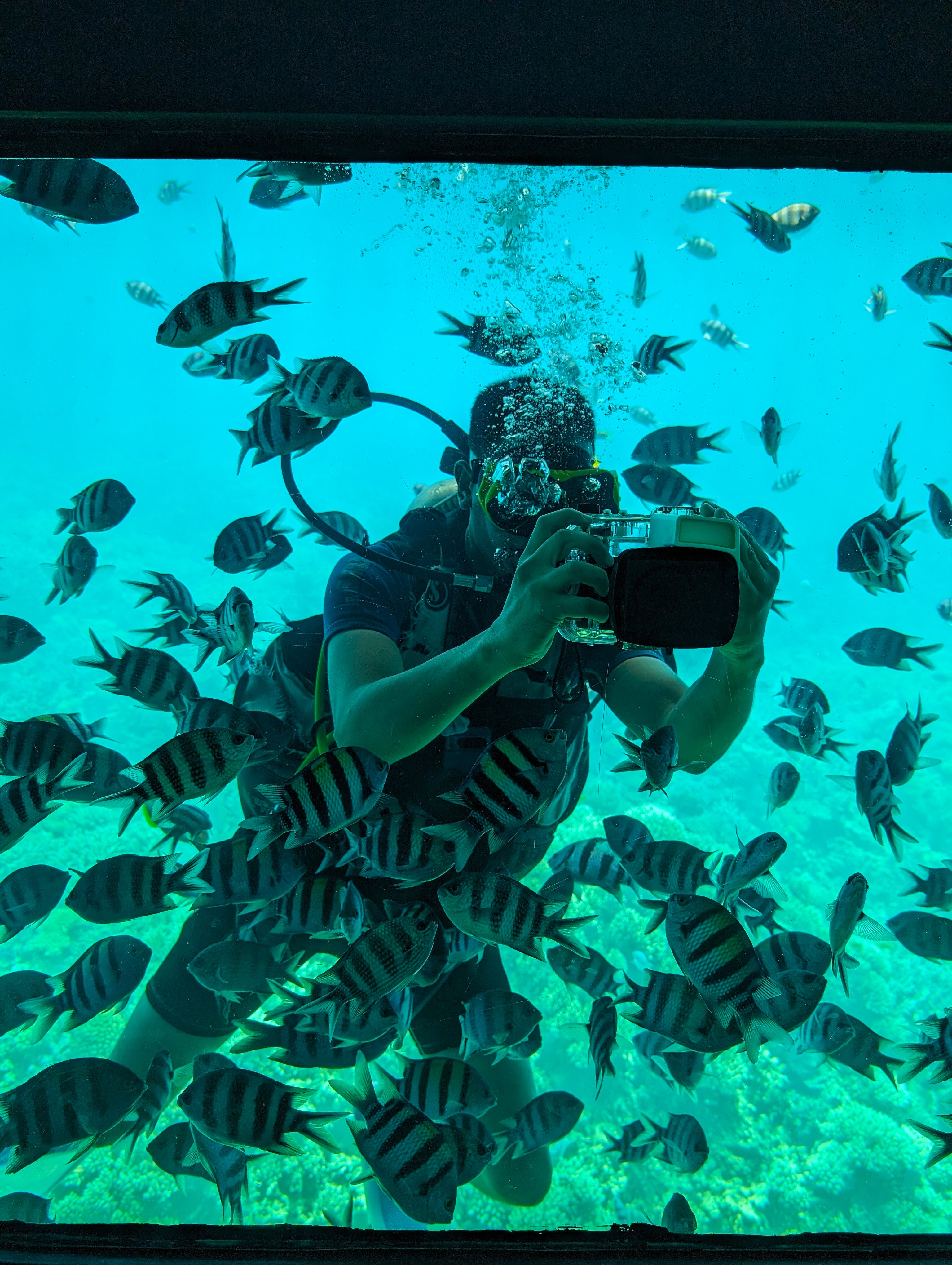 Фото Royal Lagoons Resort & Aquapark