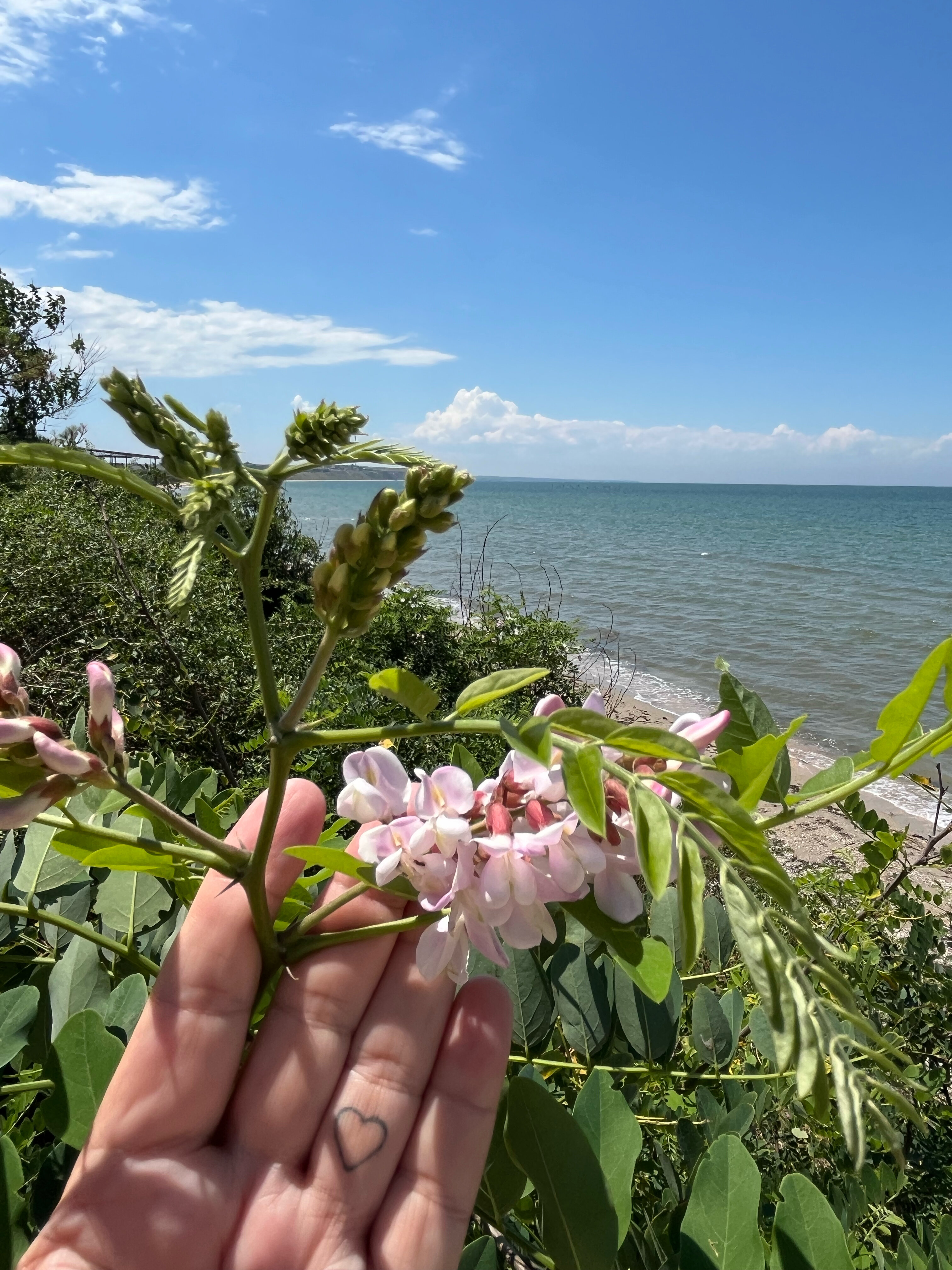 Фото Райская гавань