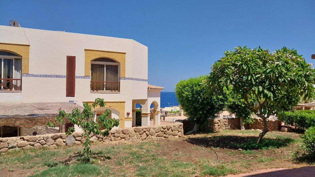 Фото Amphoras Blu